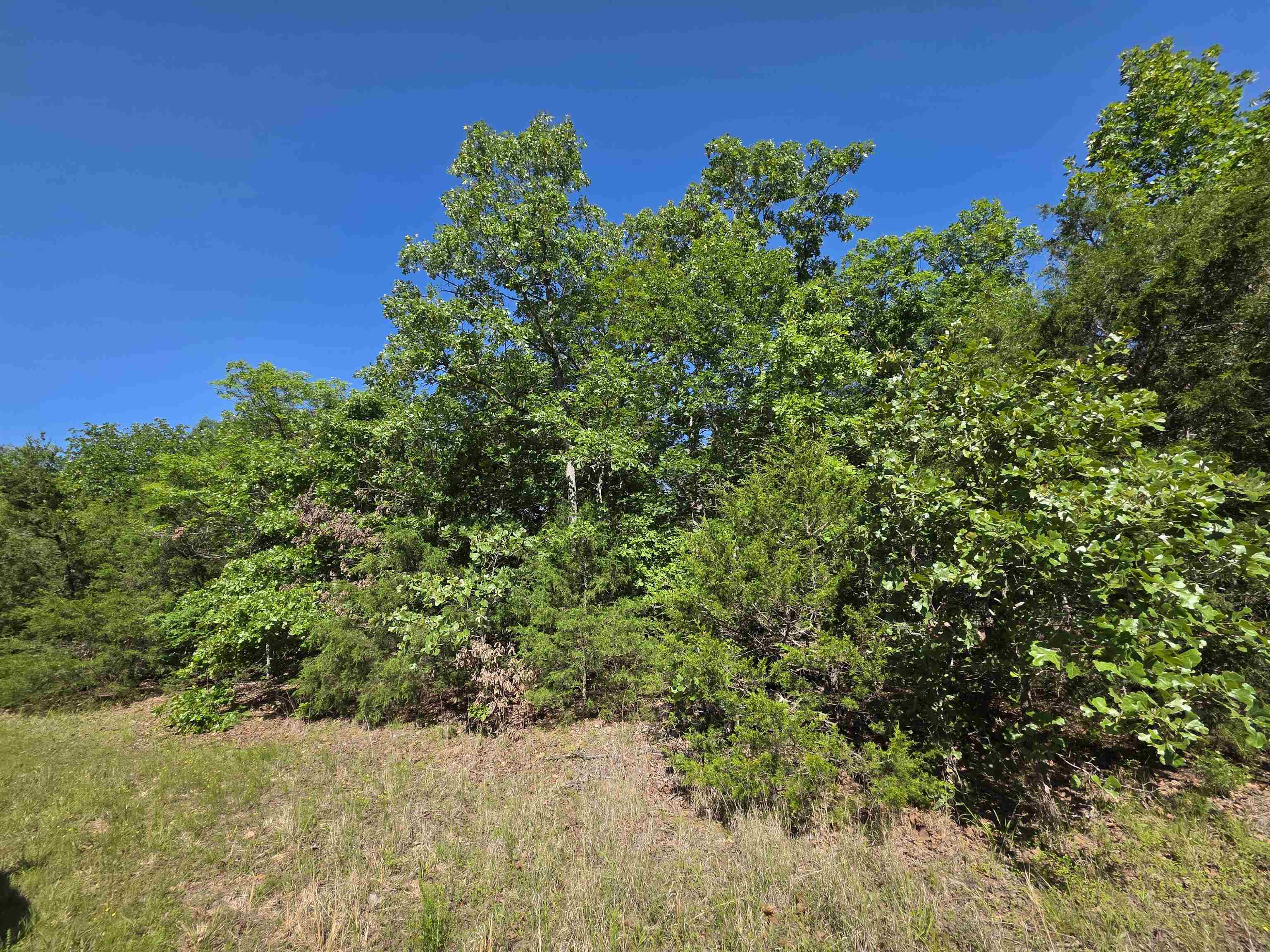 L-52 Barnes Road Property Photo 7