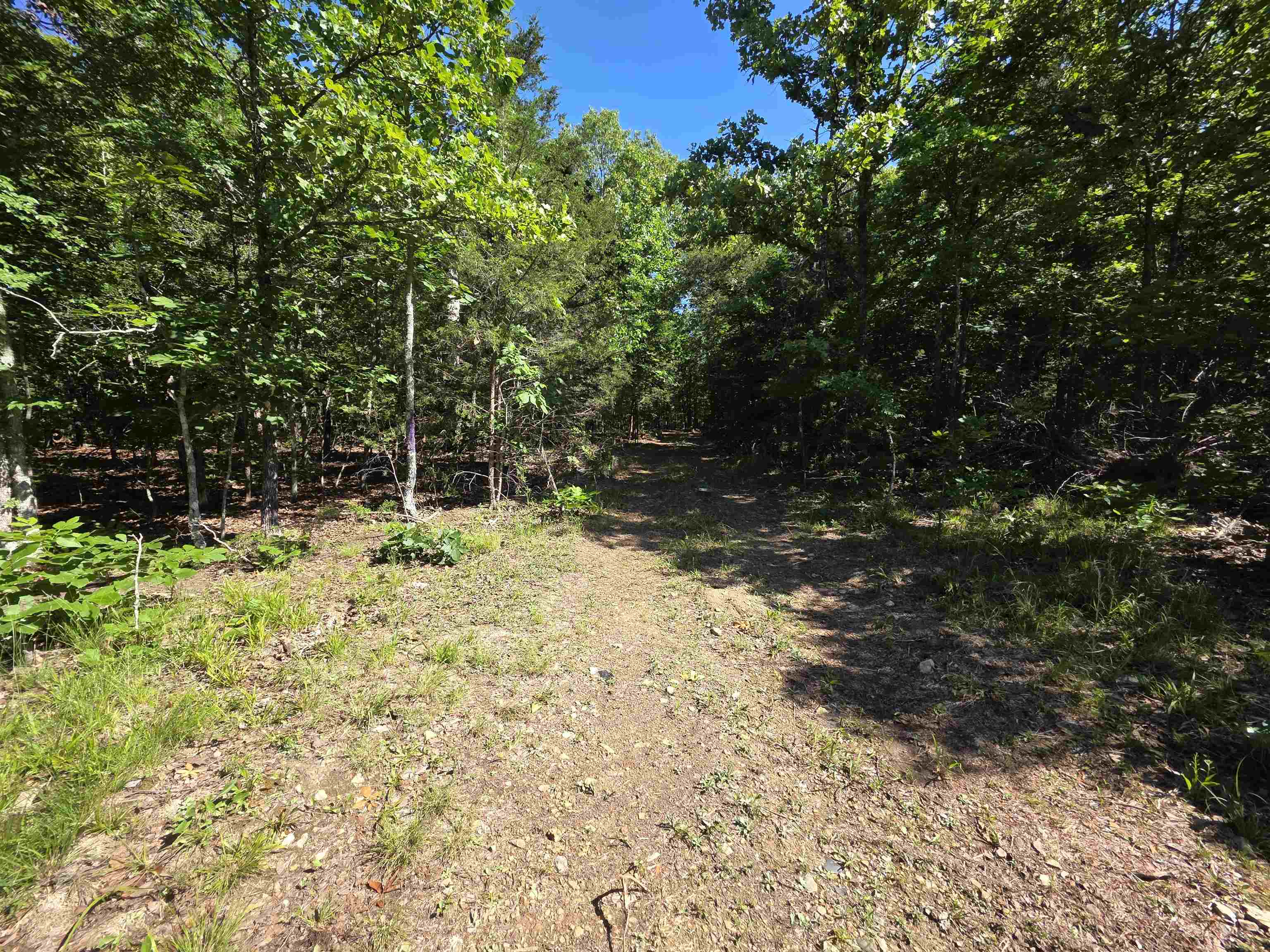 L-52 Barnes Road Property Photo 8