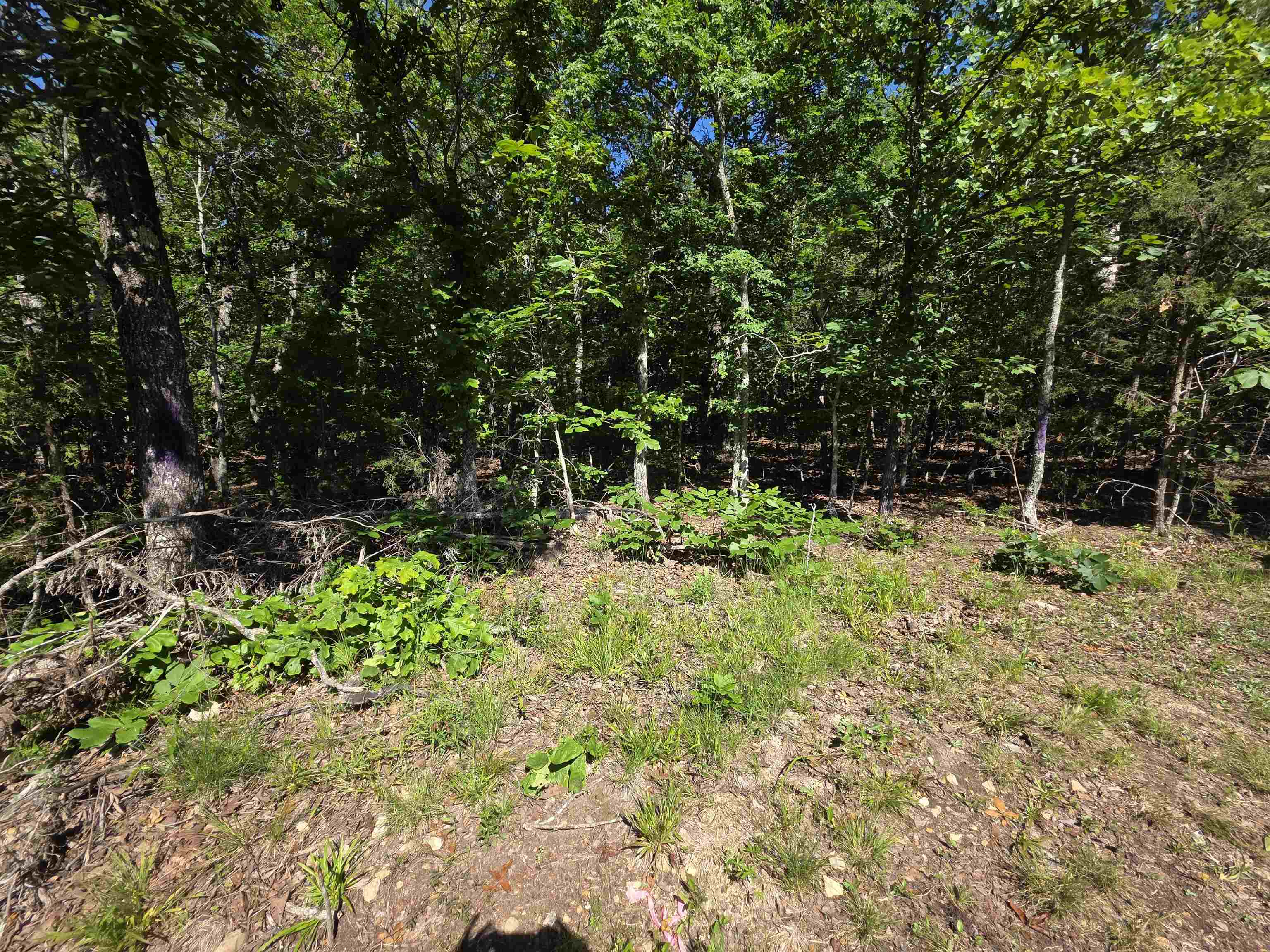 L-52 Barnes Road Property Photo 9