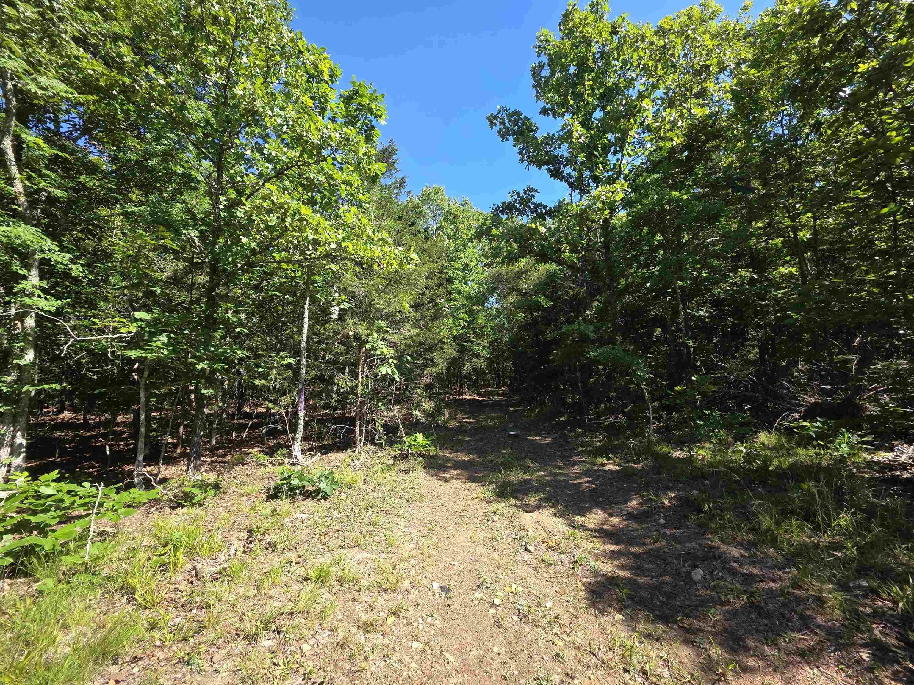 L-52 Barnes Road Property Photo 10