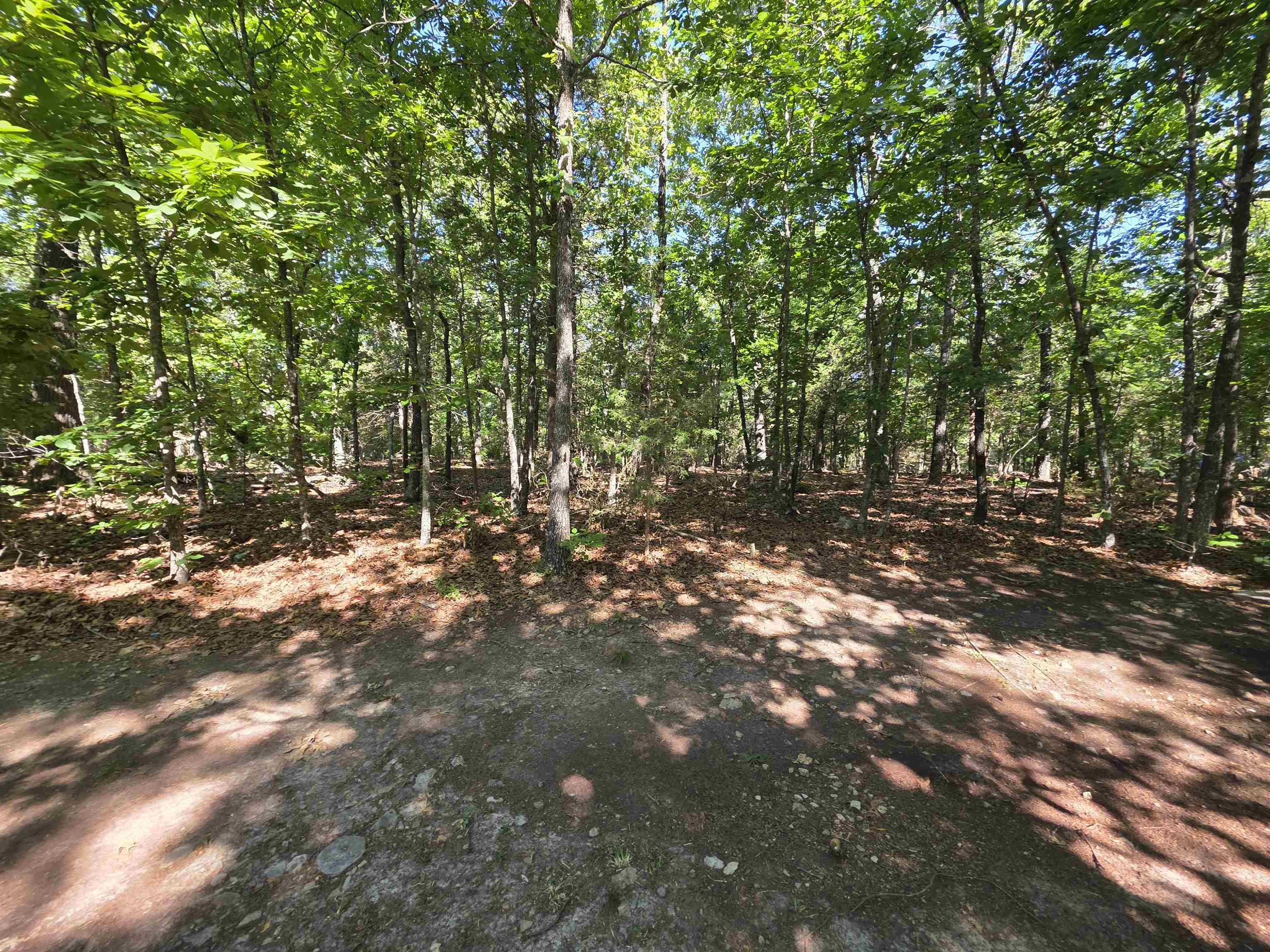 L-52 Barnes Road Property Photo 13