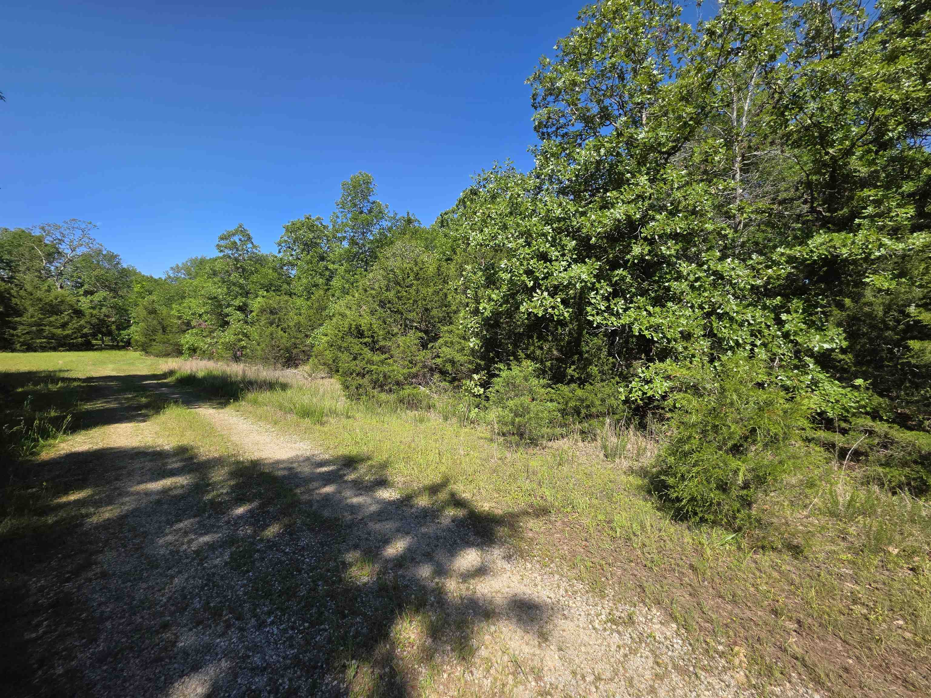 L-52 Barnes Road Property Photo 16