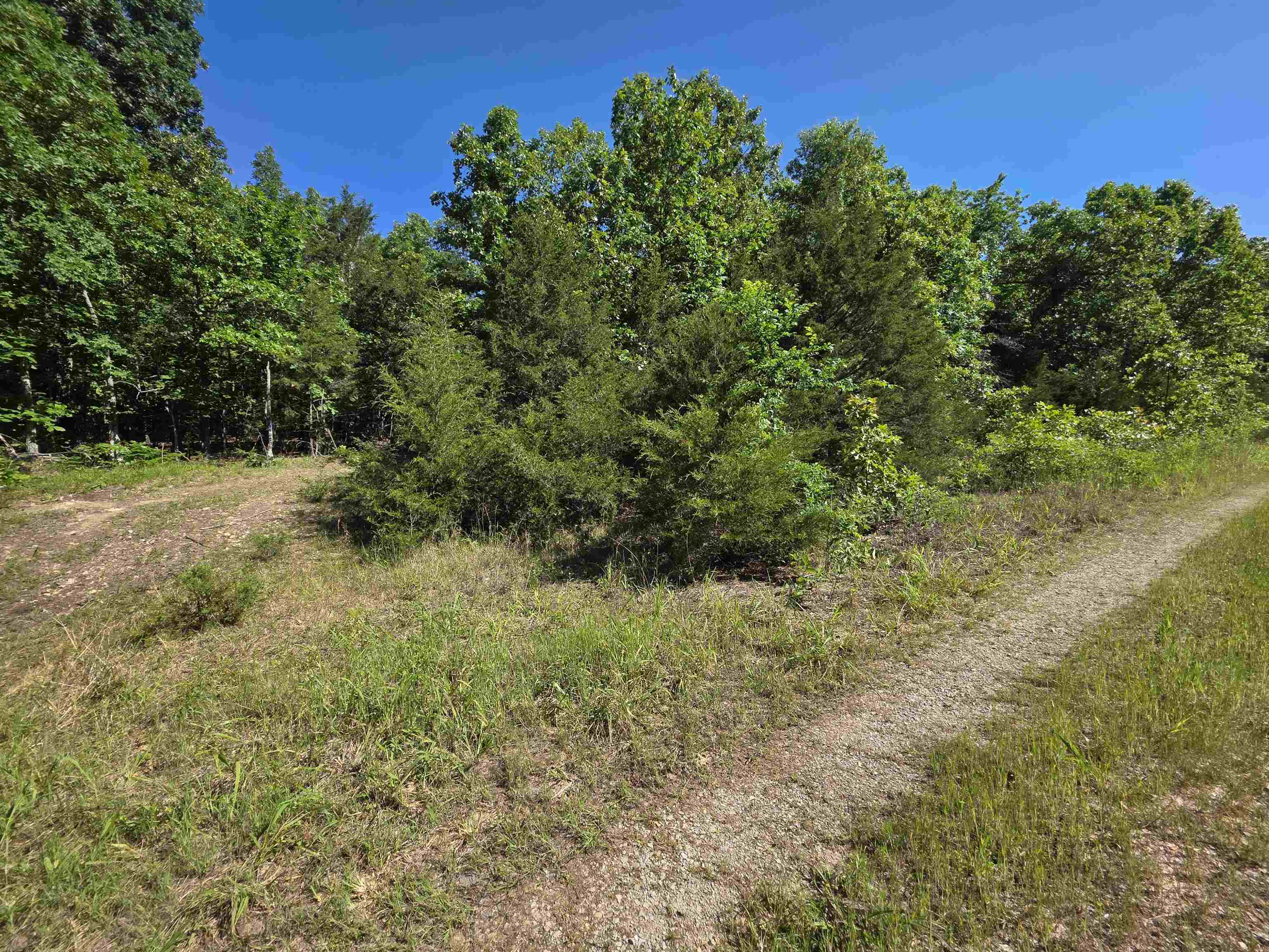 L-52 Barnes Road Property Photo 18