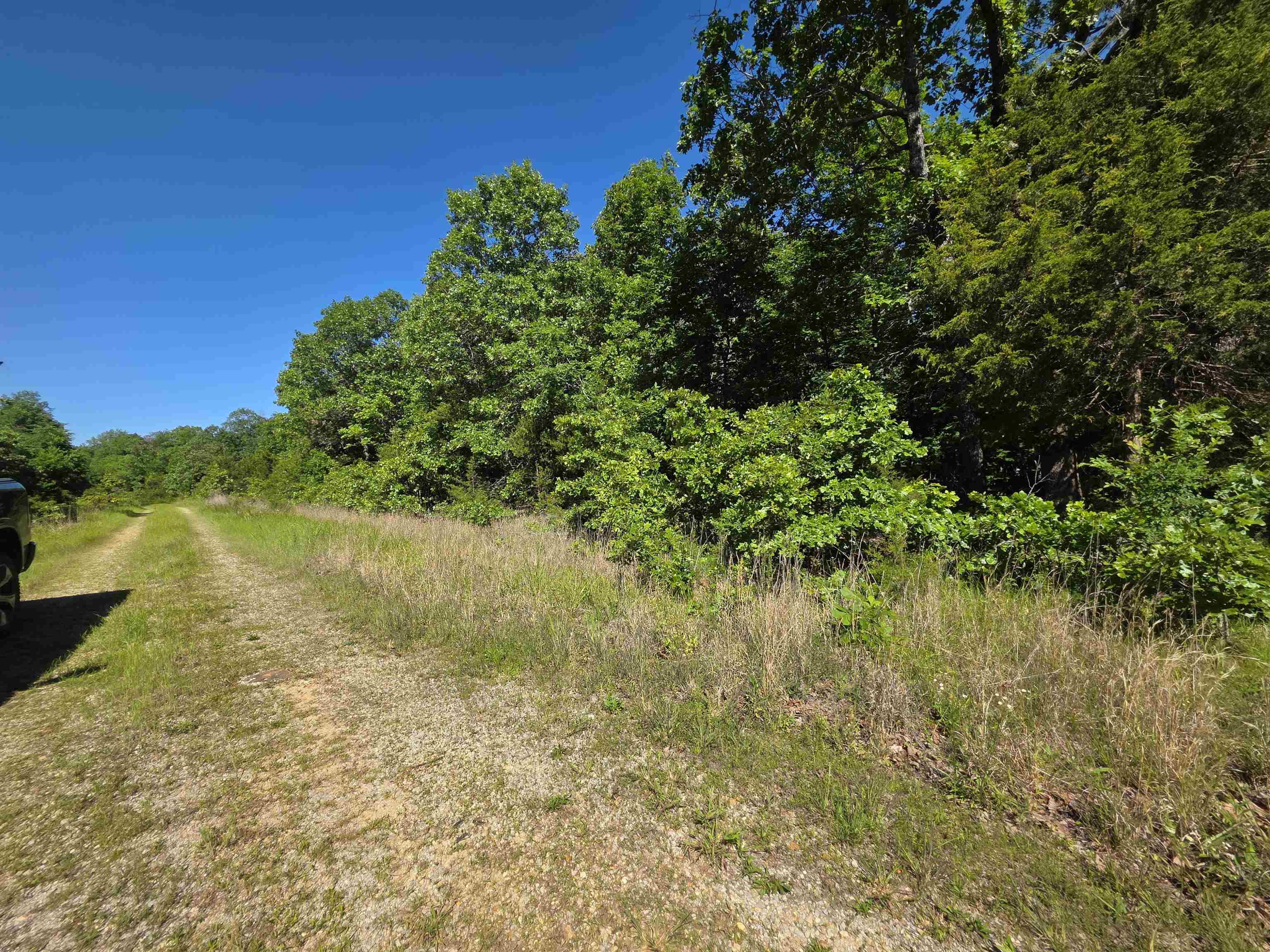 L-52 Barnes Road Property Photo 20