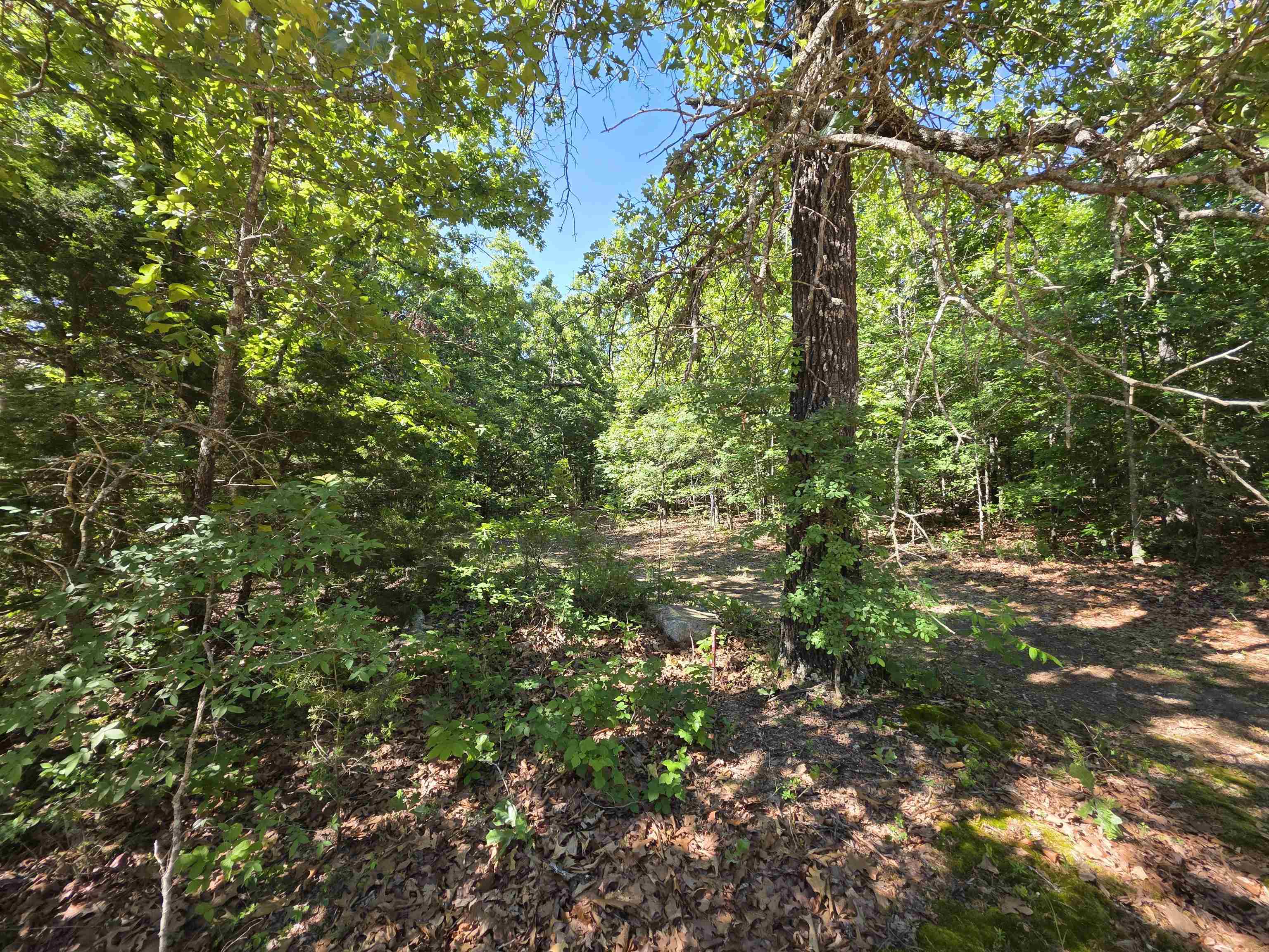 L-52 Barnes Road Property Photo 30