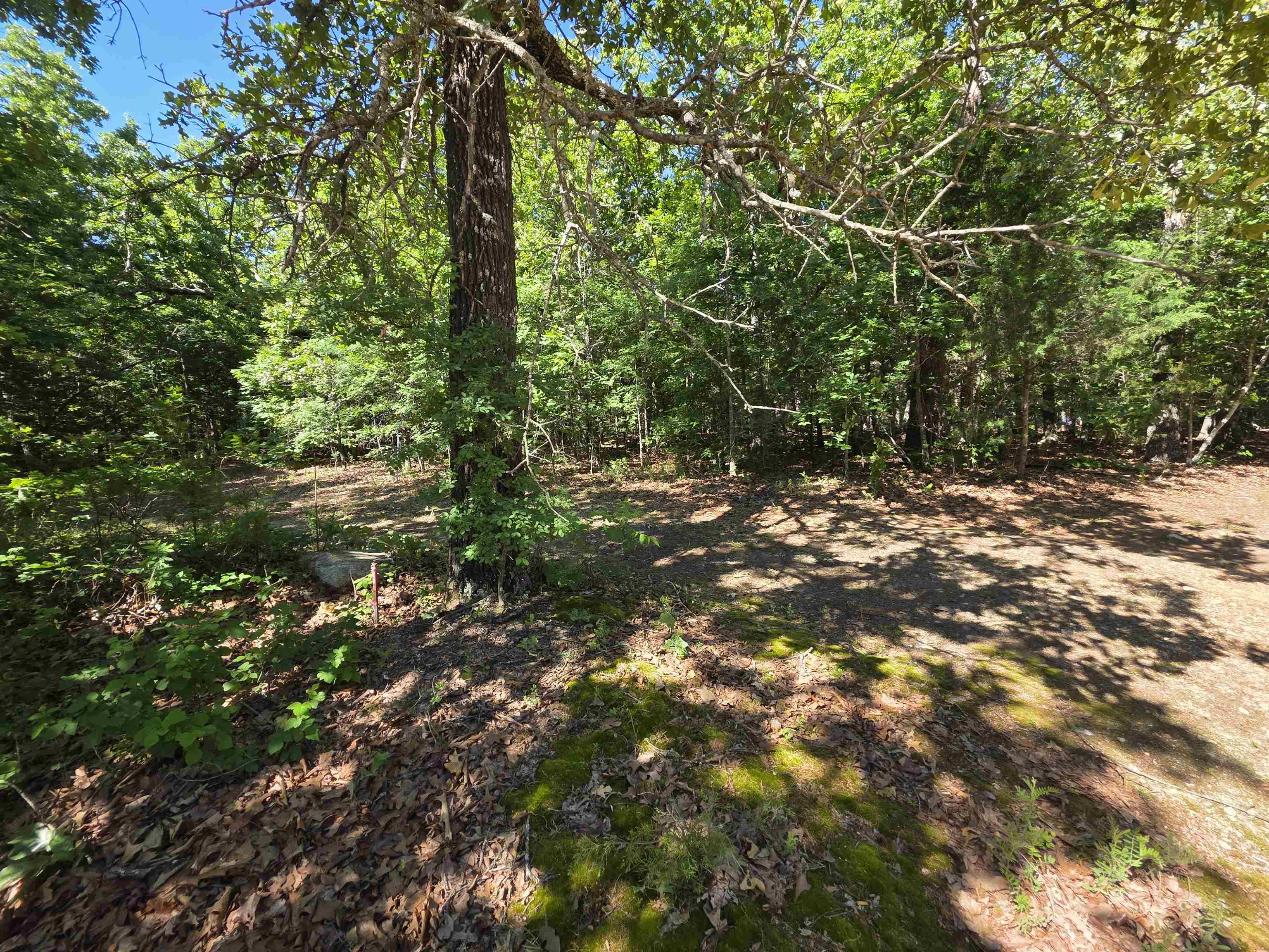 L-52 Barnes Road Property Photo 31