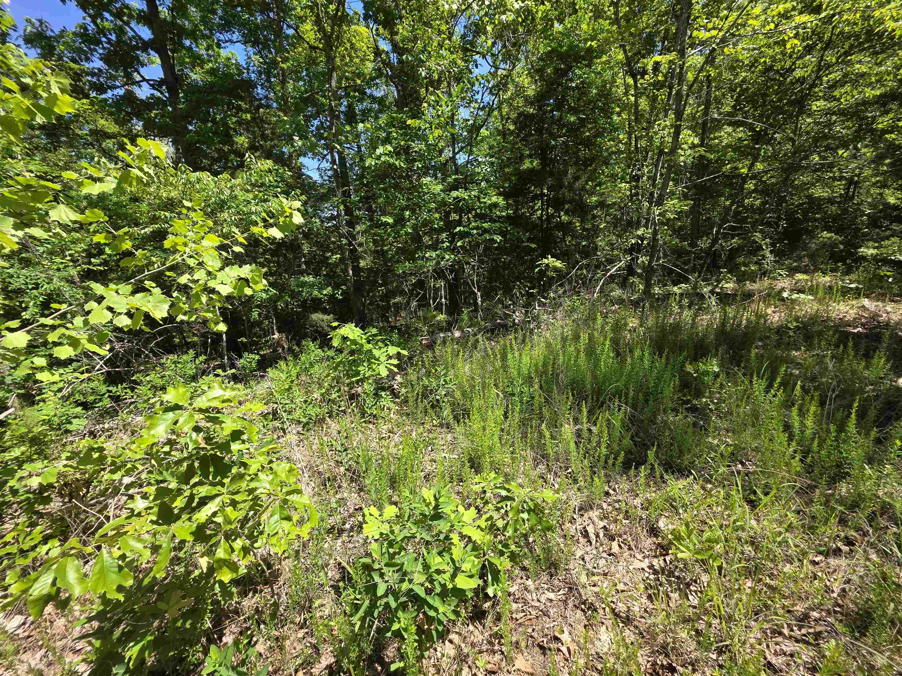 L43, 44 White Horse Mountain Road Property Photo 31