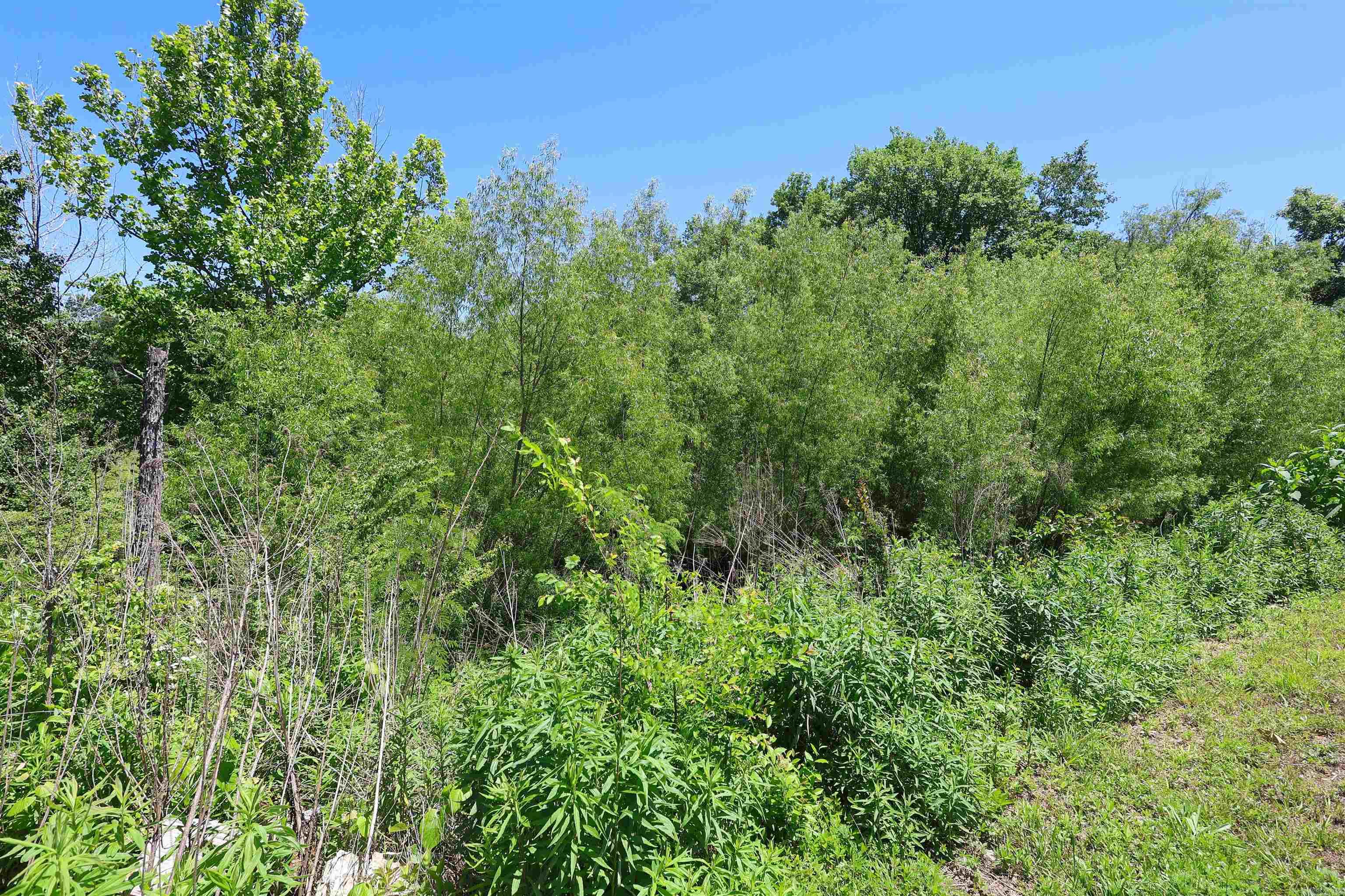 101 Caney Place Property Photo 42
