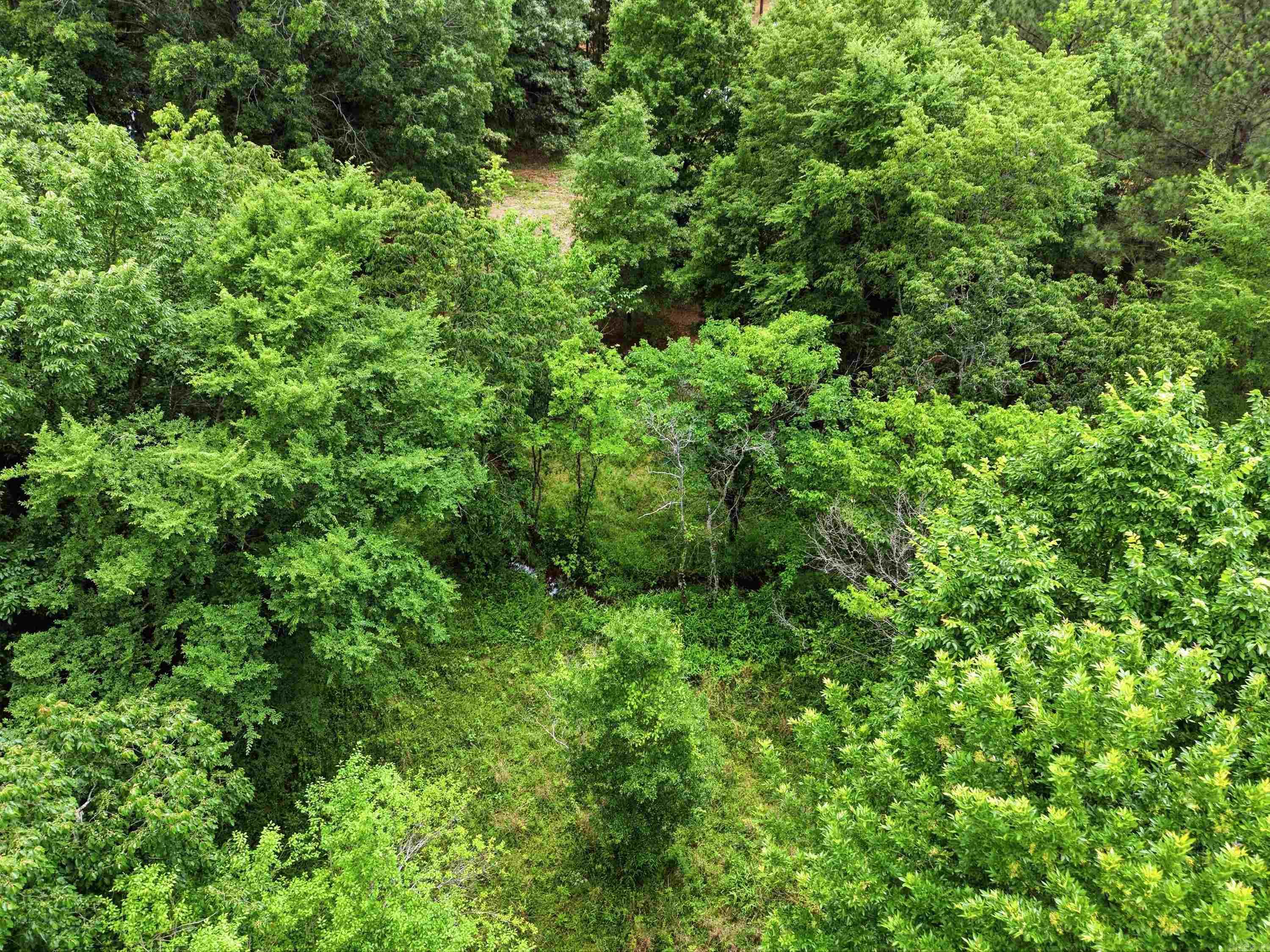 903 Hwy 36 Property Photo 12