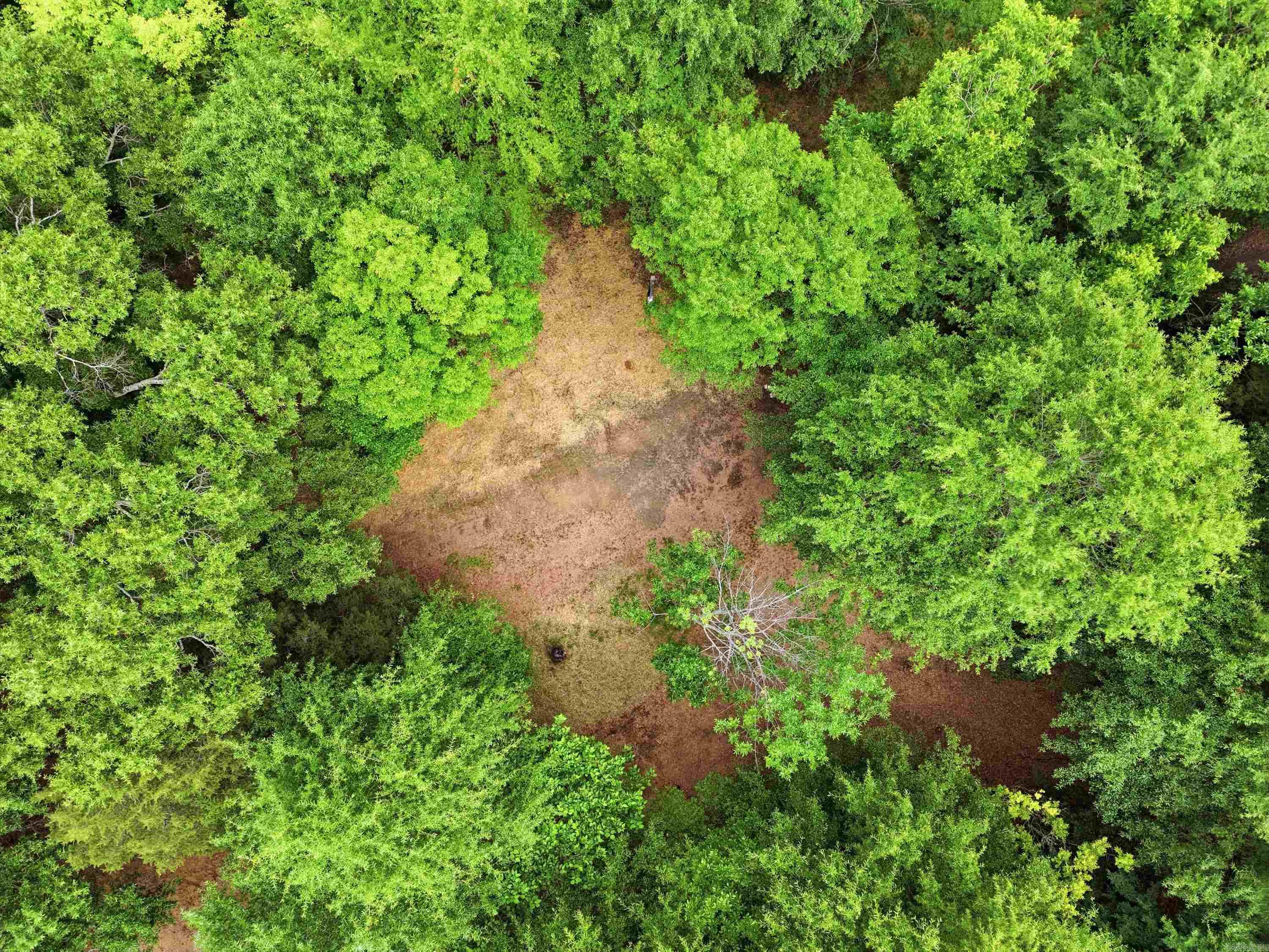 903 Hwy 36 Property Photo 14