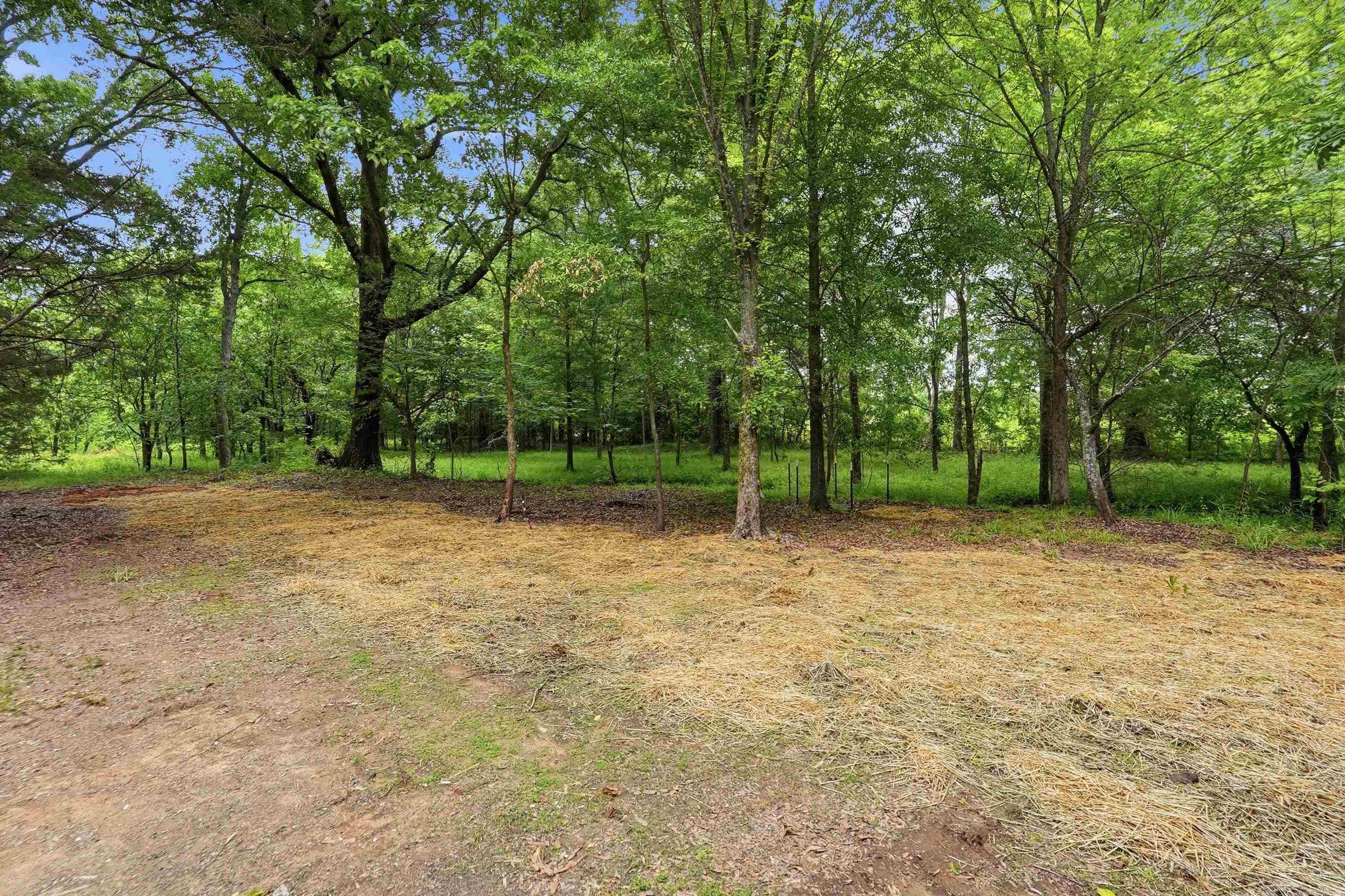 903 Hwy 36 Property Photo 16