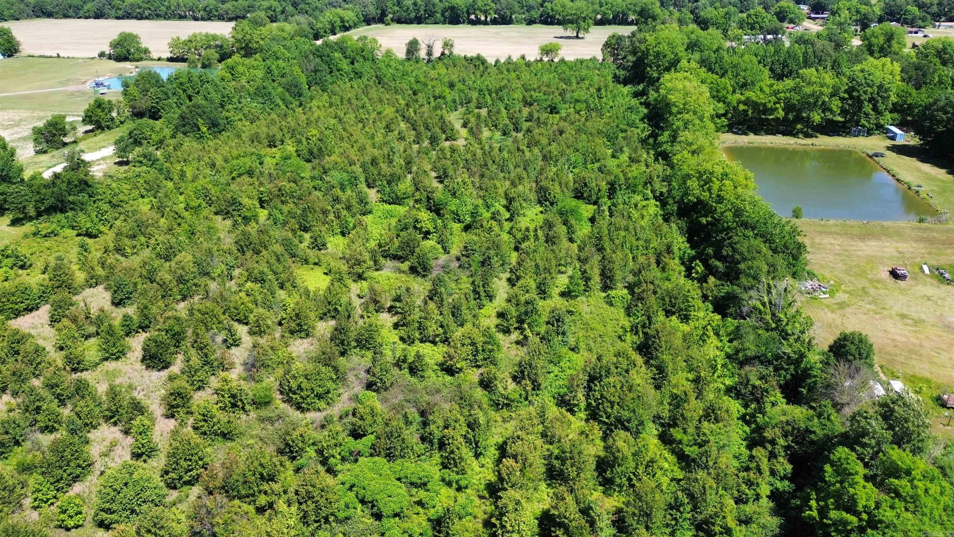 2286 Hwy 49 Property Photo 16