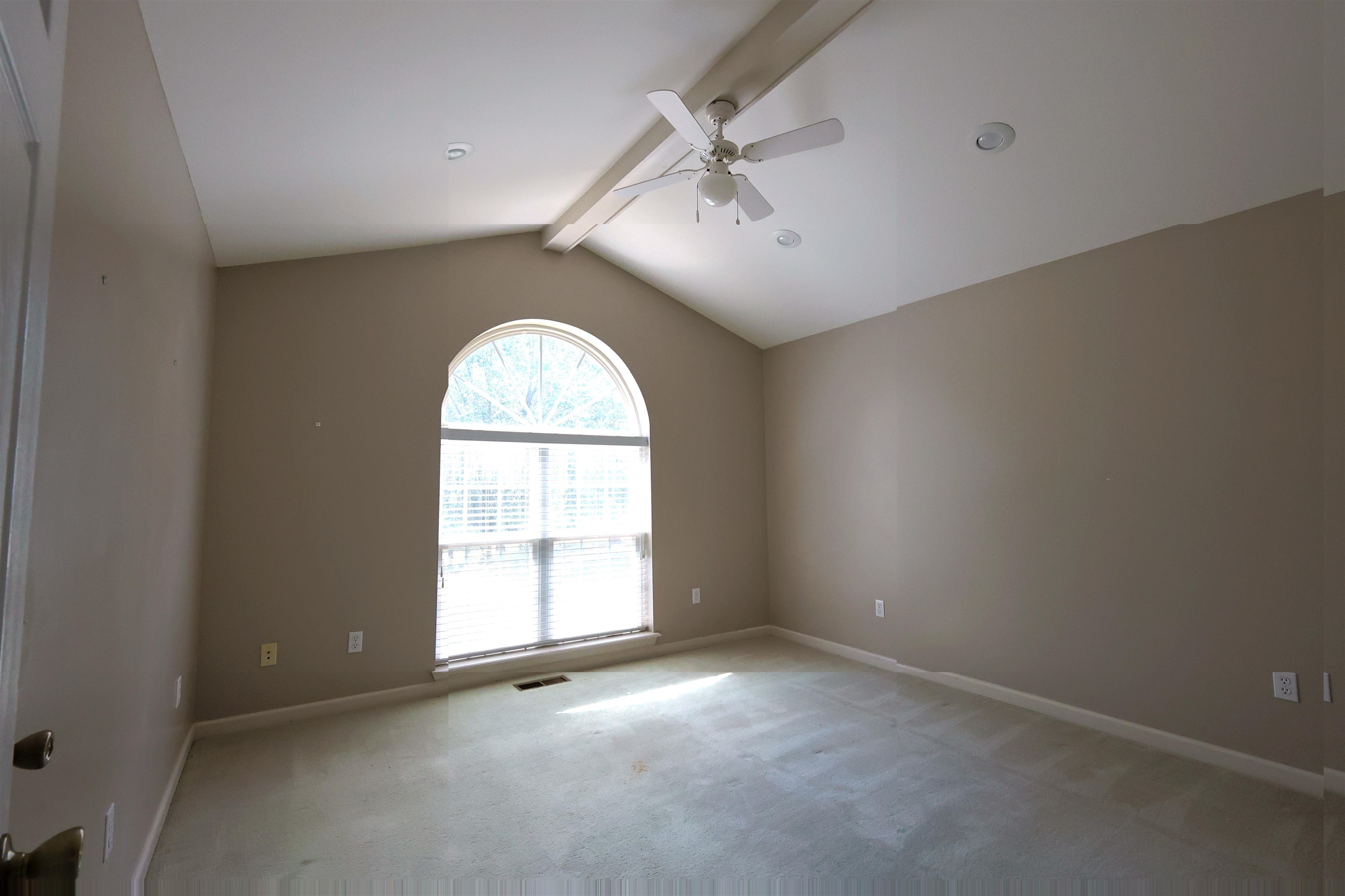 137 Sharp Street Property Photo 13