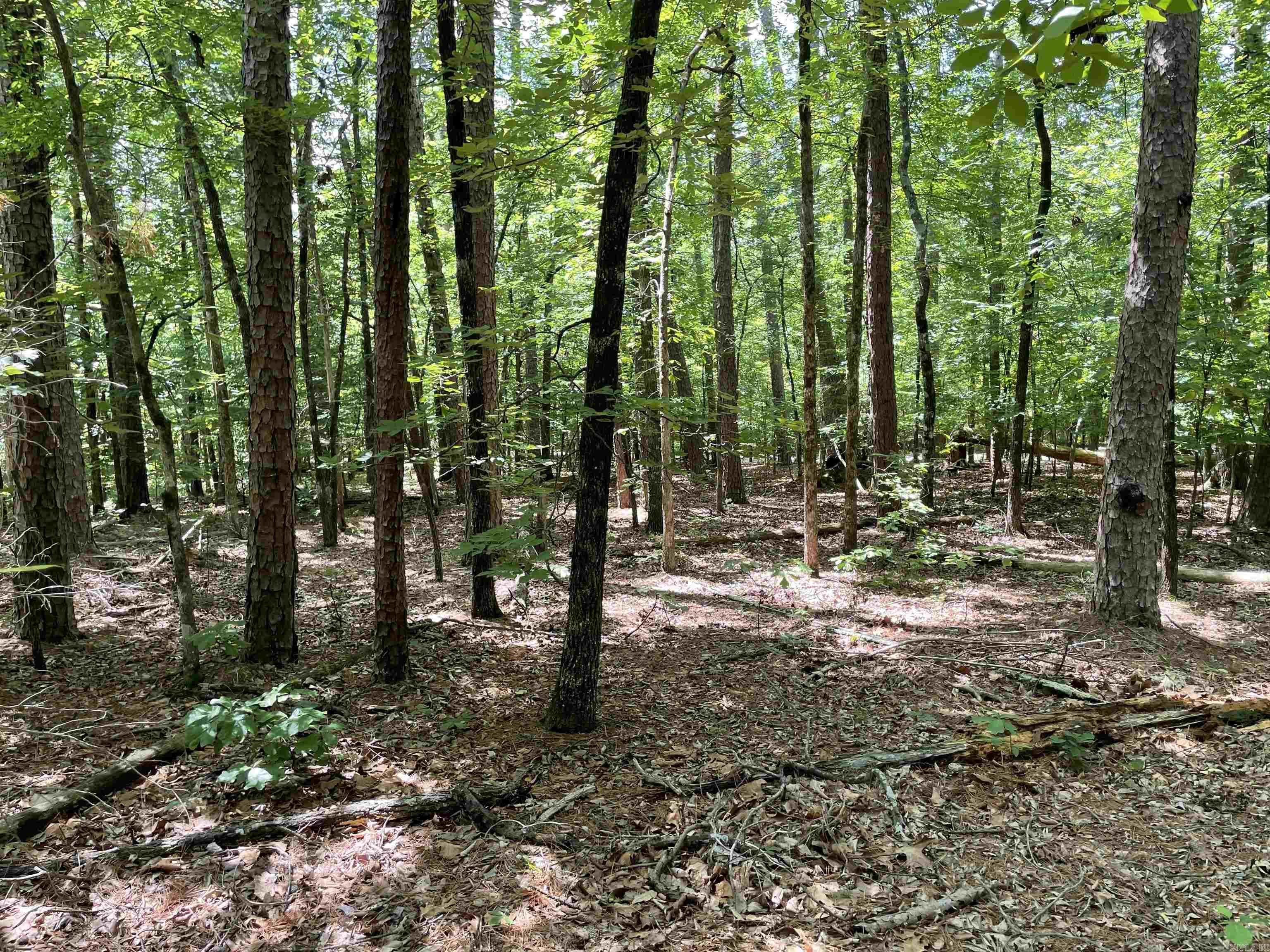 3 Magnifico Circle Property Photo 3