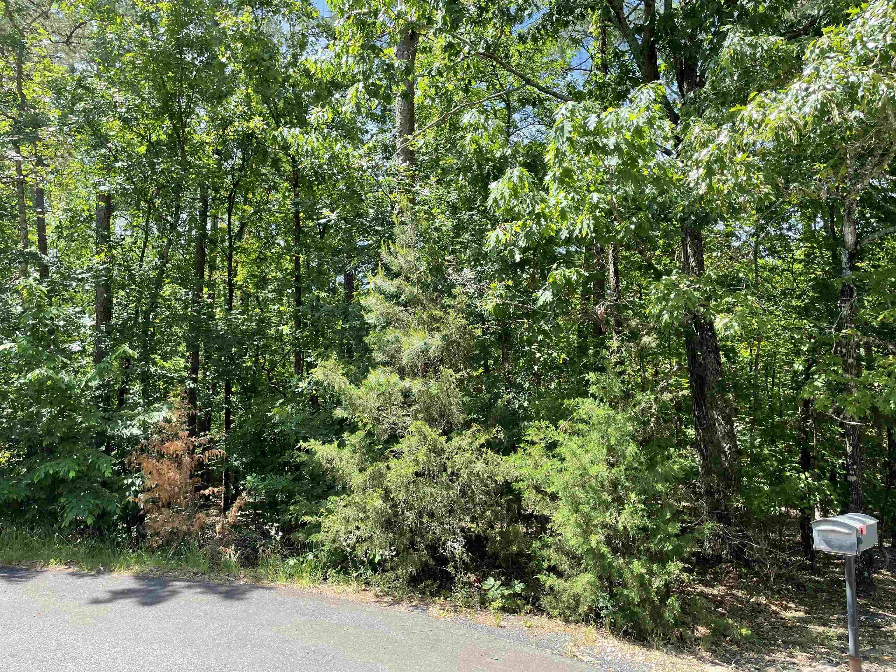 3 Magnifico Circle Property Photo 4