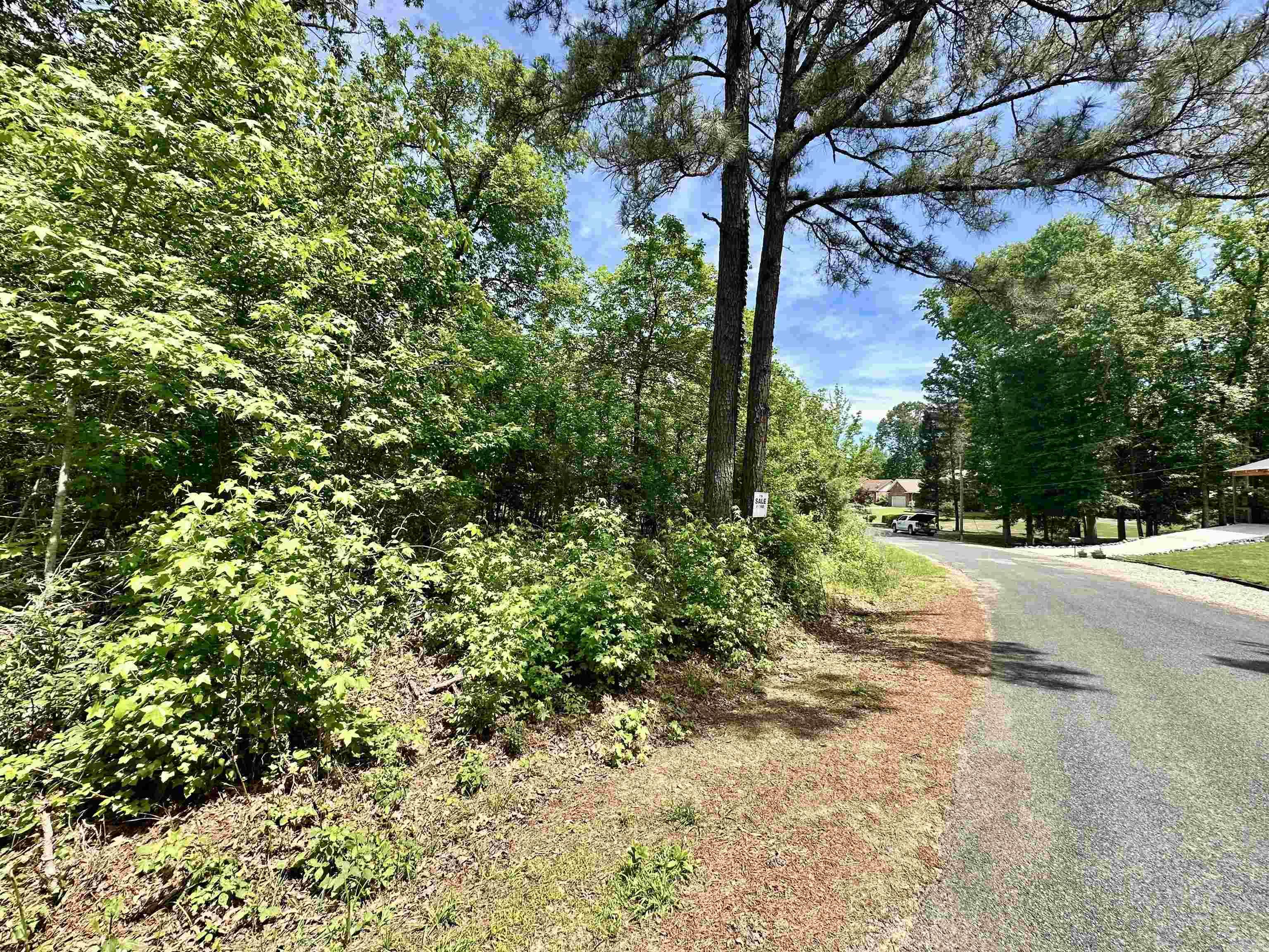 246 Scenic Drive Property Photo 7