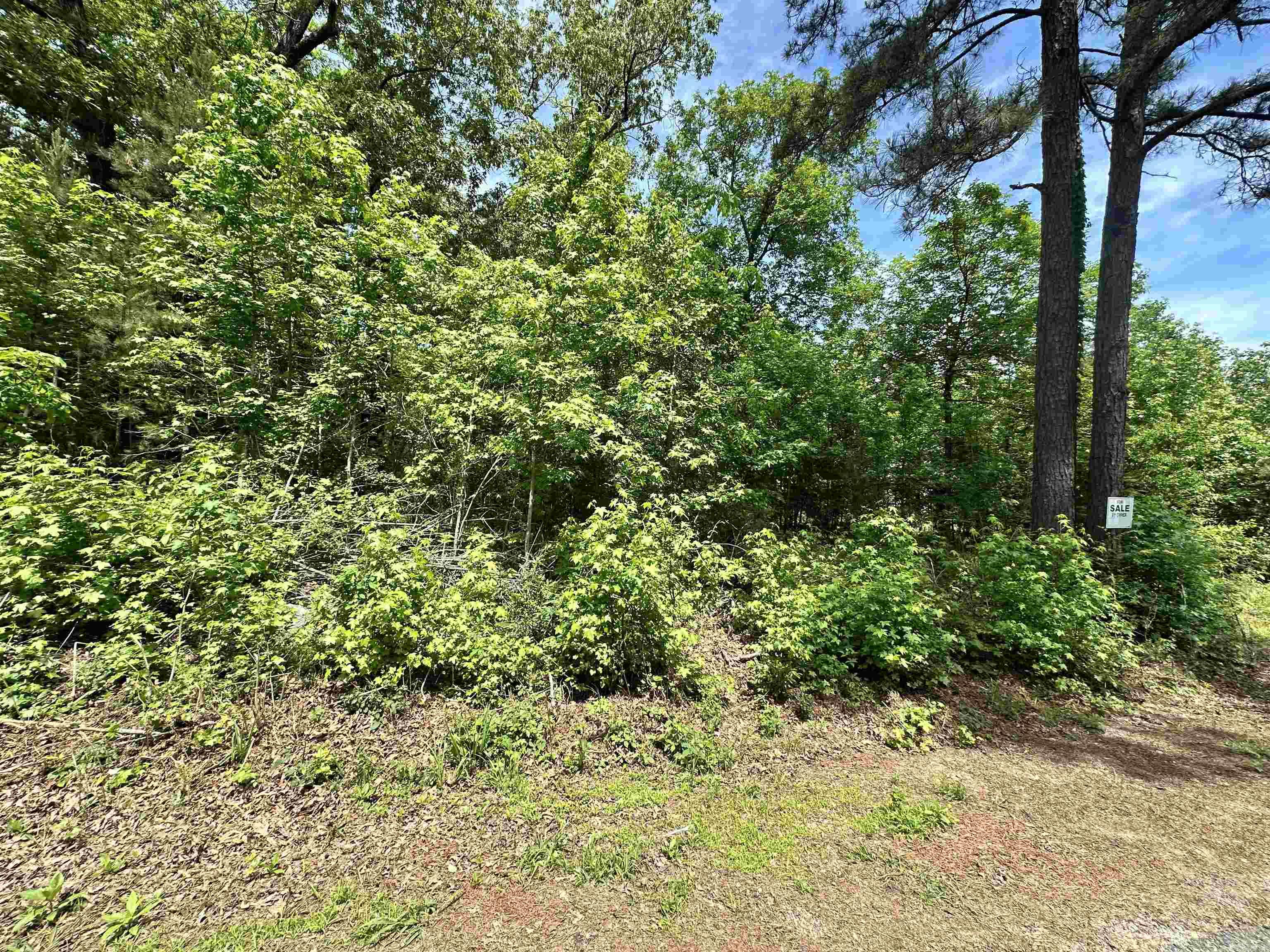 246 Scenic Drive Property Photo 8