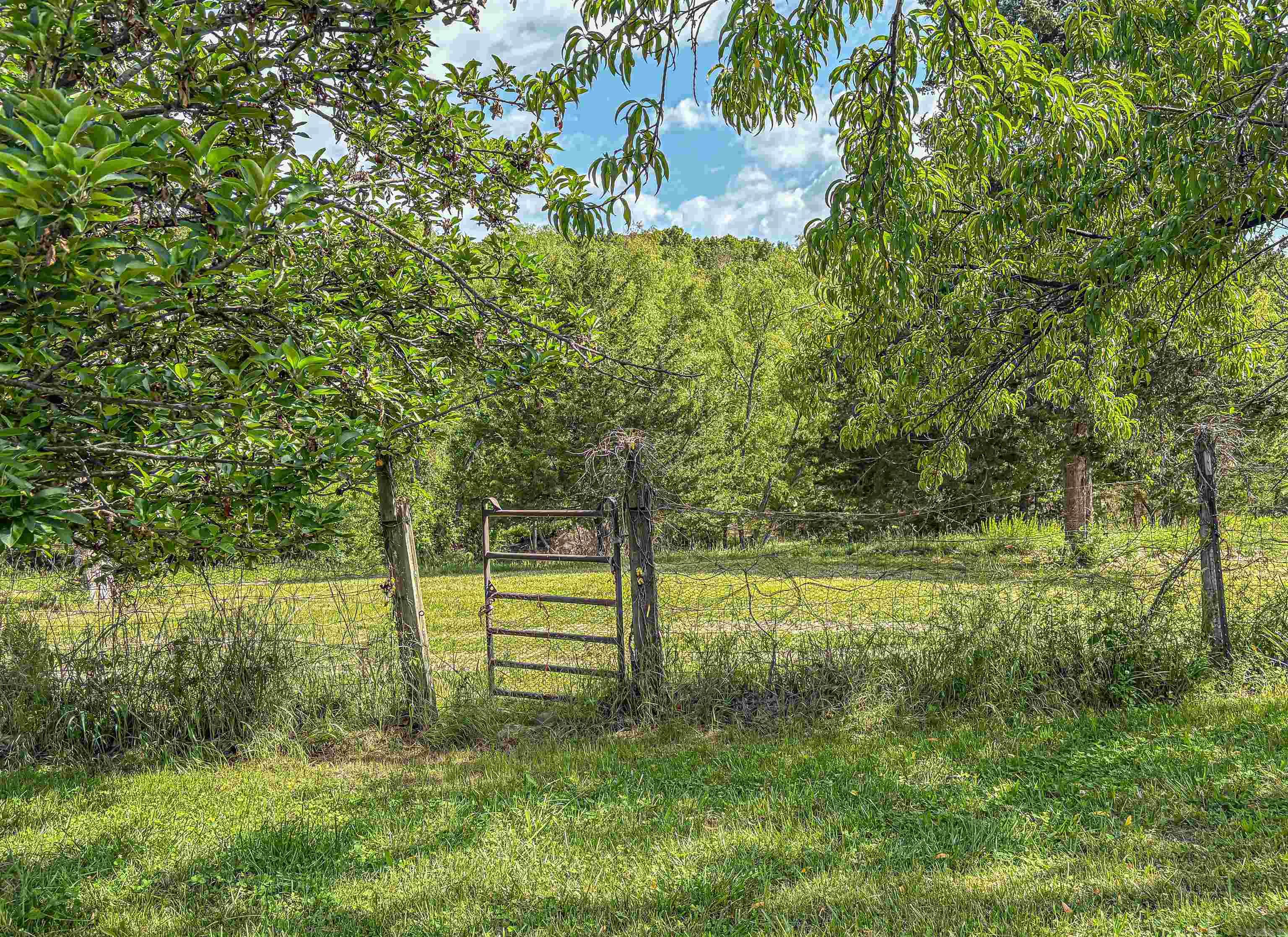 1265 Mc 4044 Property Photo 11