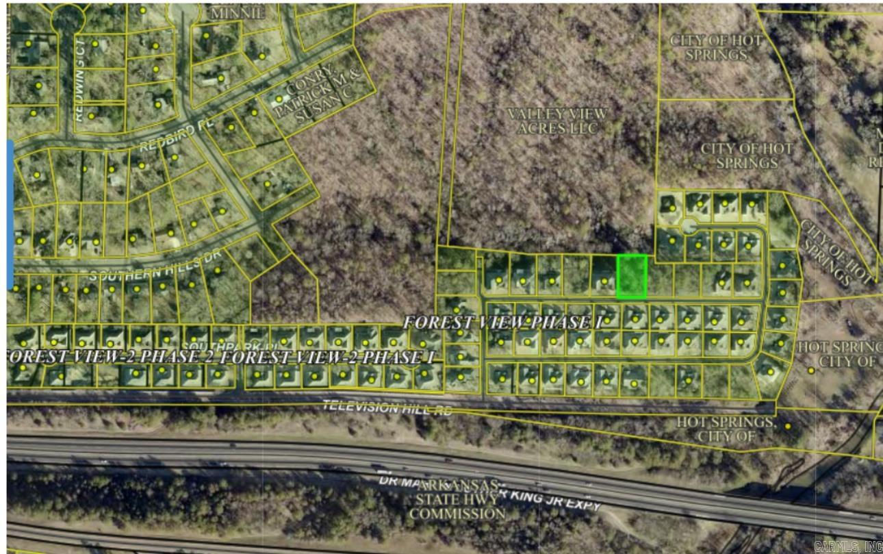 Lot 31 Forest View Circle Property Photo 2