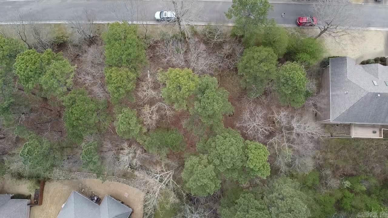 Lot 31 Forest View Circle Property Photo 3