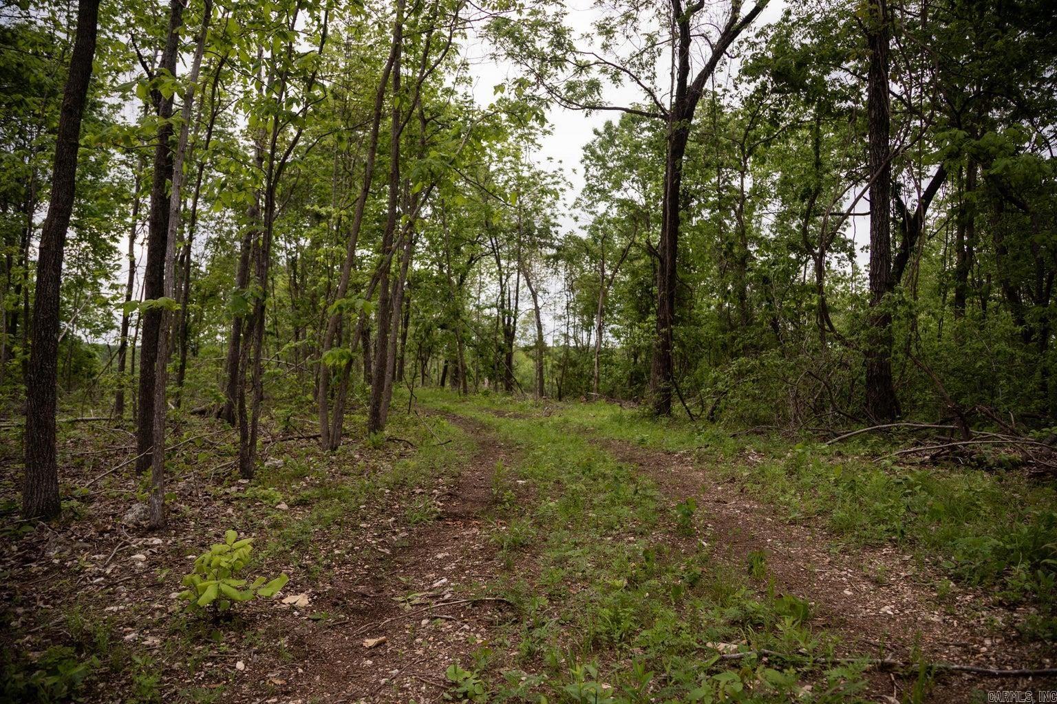 000 State Highway Y Property Photo 1