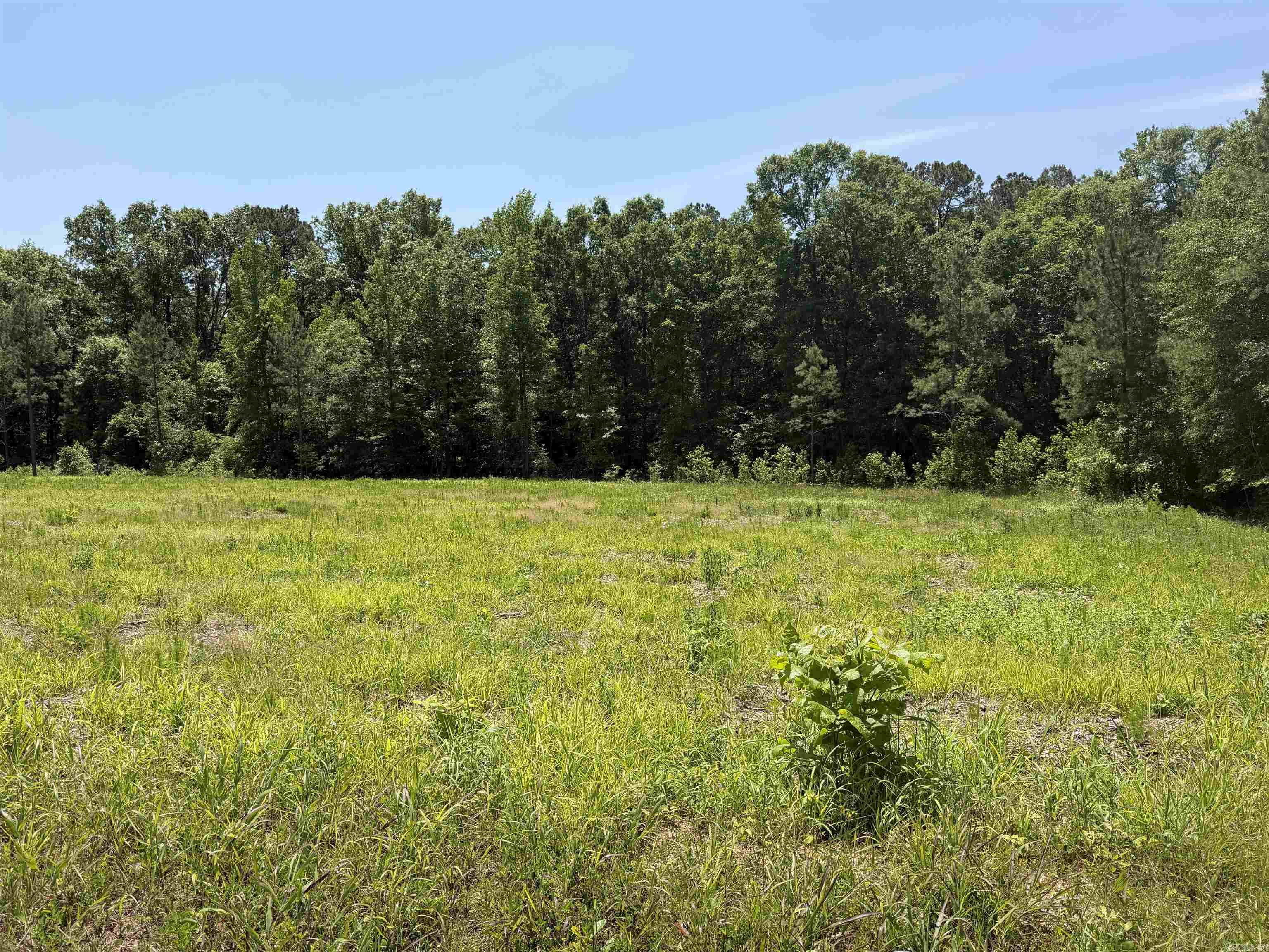 506-706 Grant 433 Property Photo 3