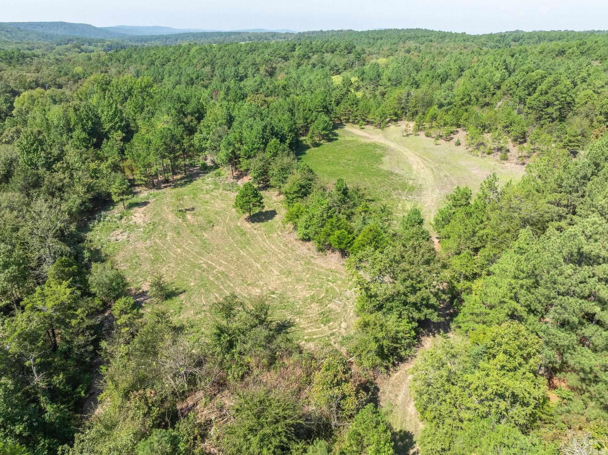 3024 Red Bench Rd Property Photo 24