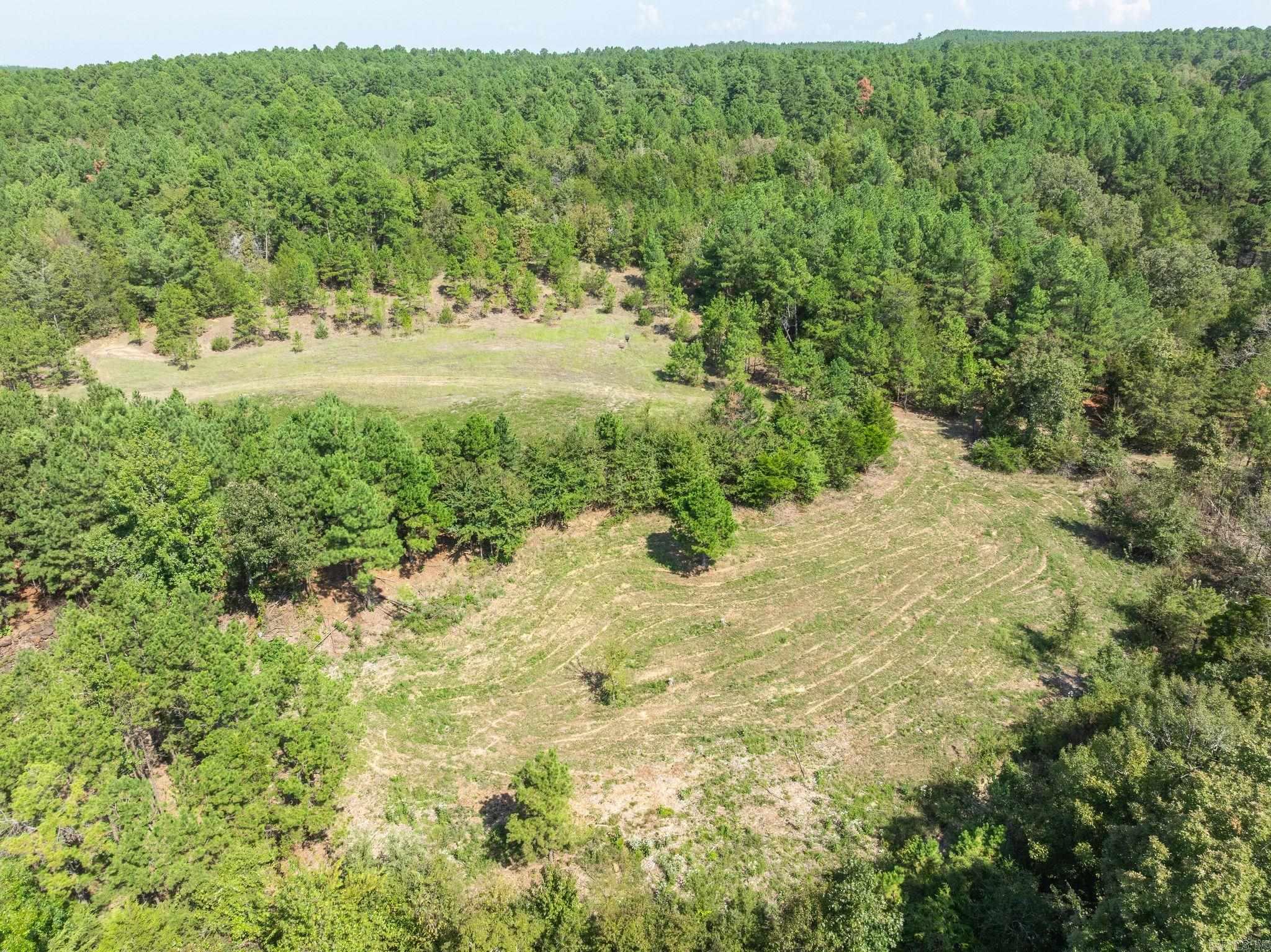 3024 Red Bench Rd Property Photo 26