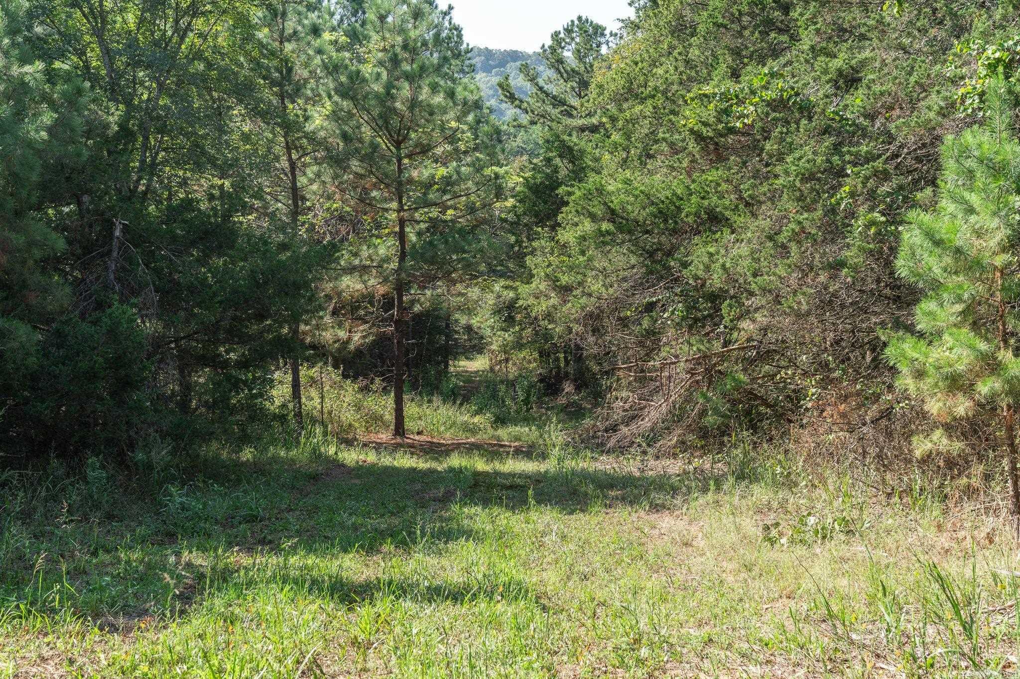 3024 Red Bench Rd Property Photo 28