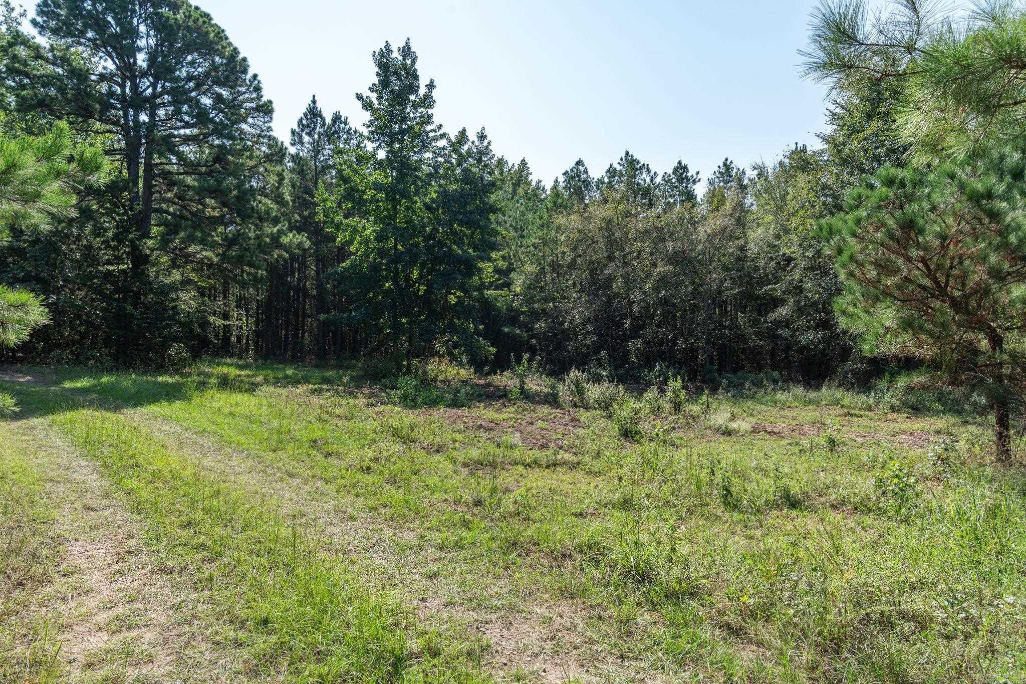 3024 Red Bench Rd Property Photo 30