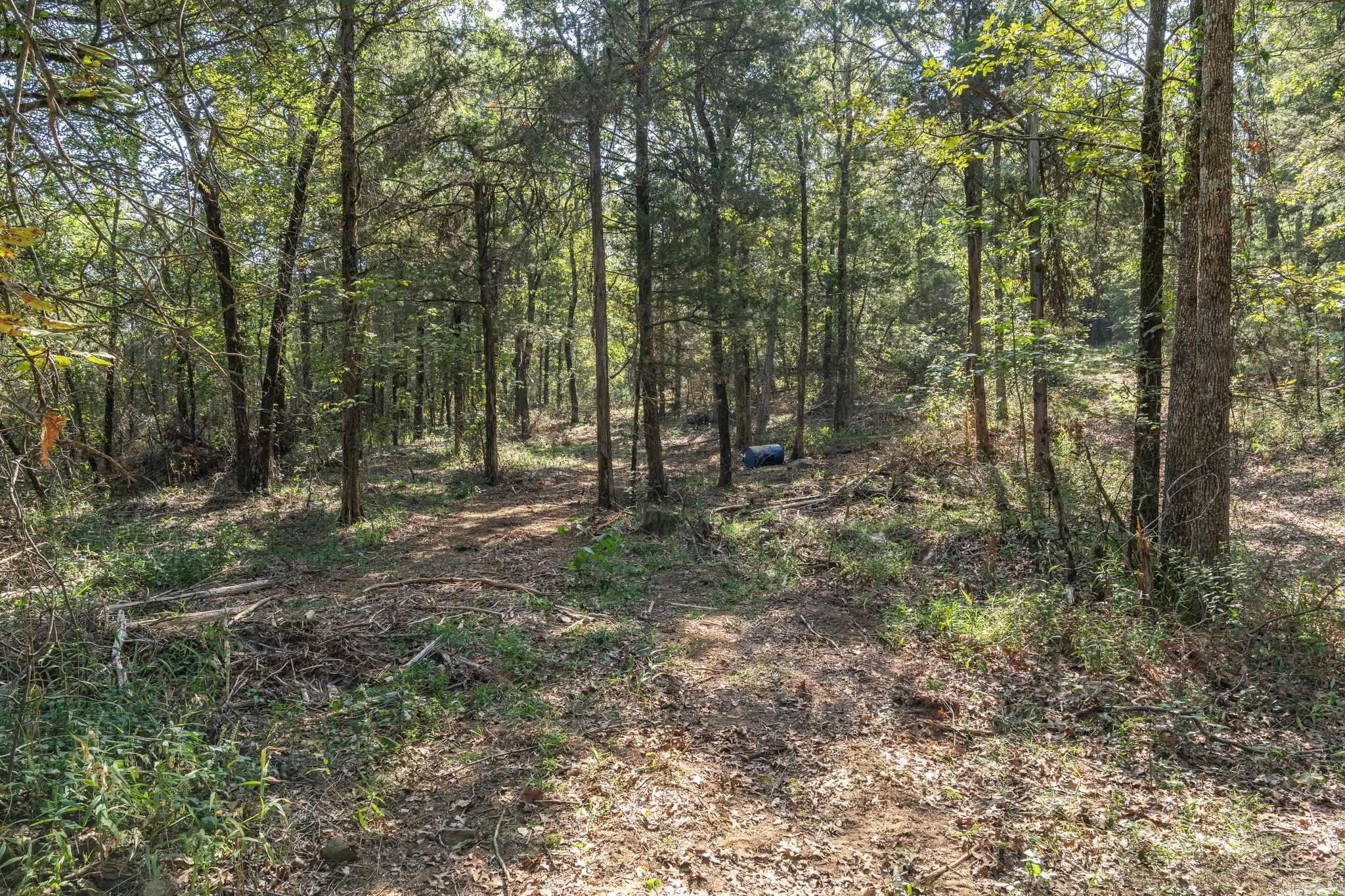 3024 Red Bench Rd Property Photo 31