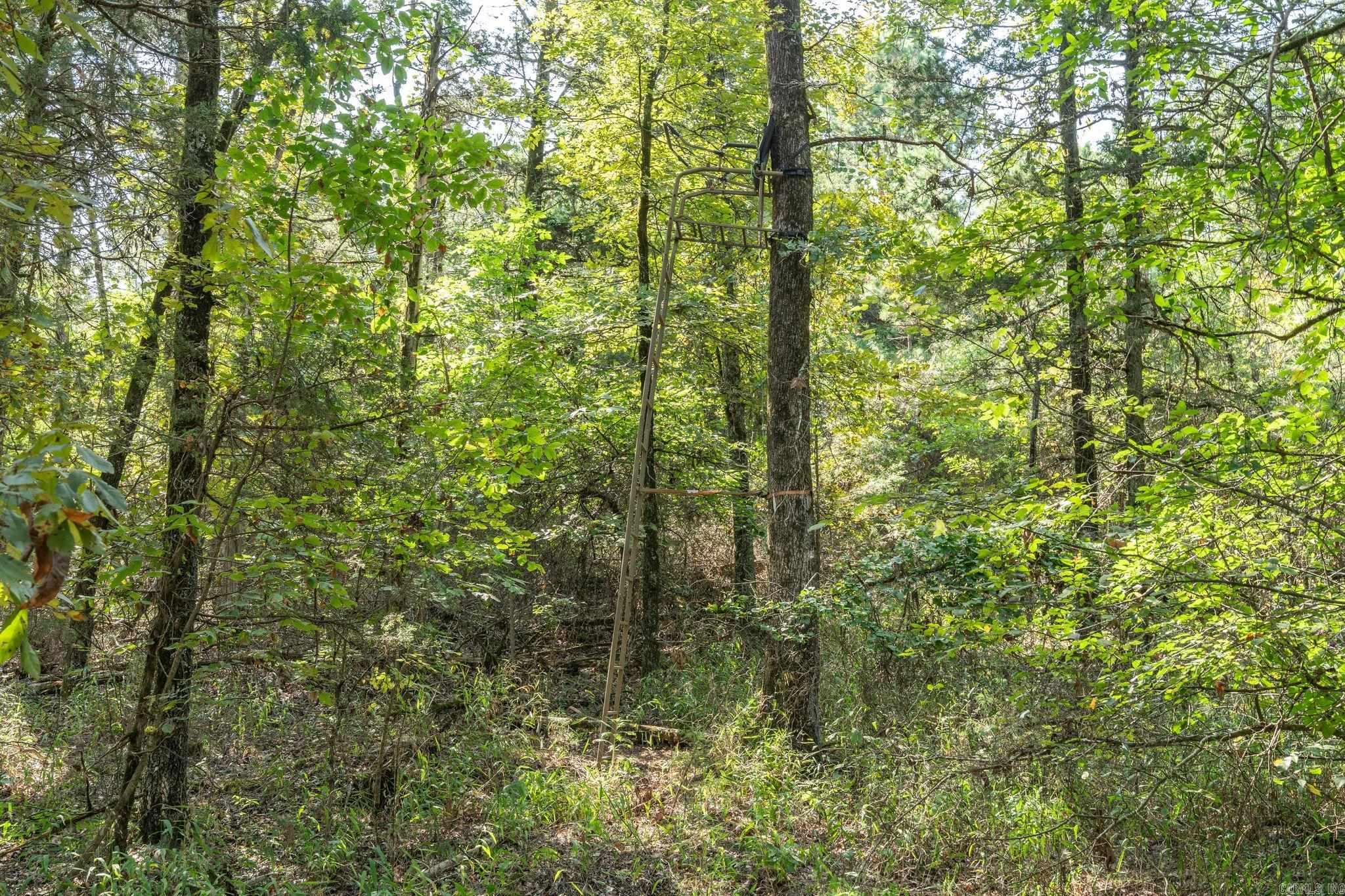 3024 Red Bench Rd Property Photo 32