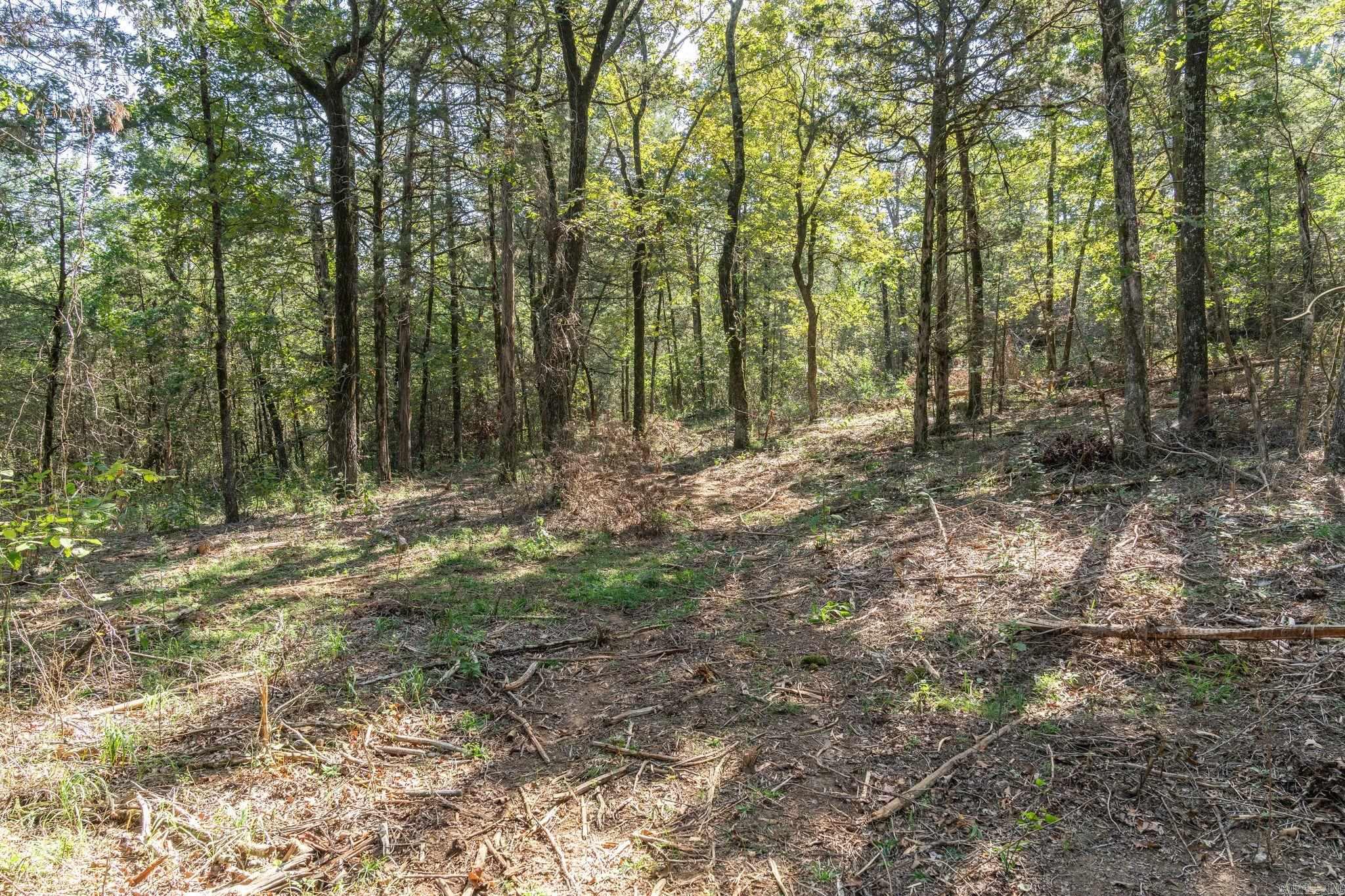 3024 Red Bench Rd Property Photo 36