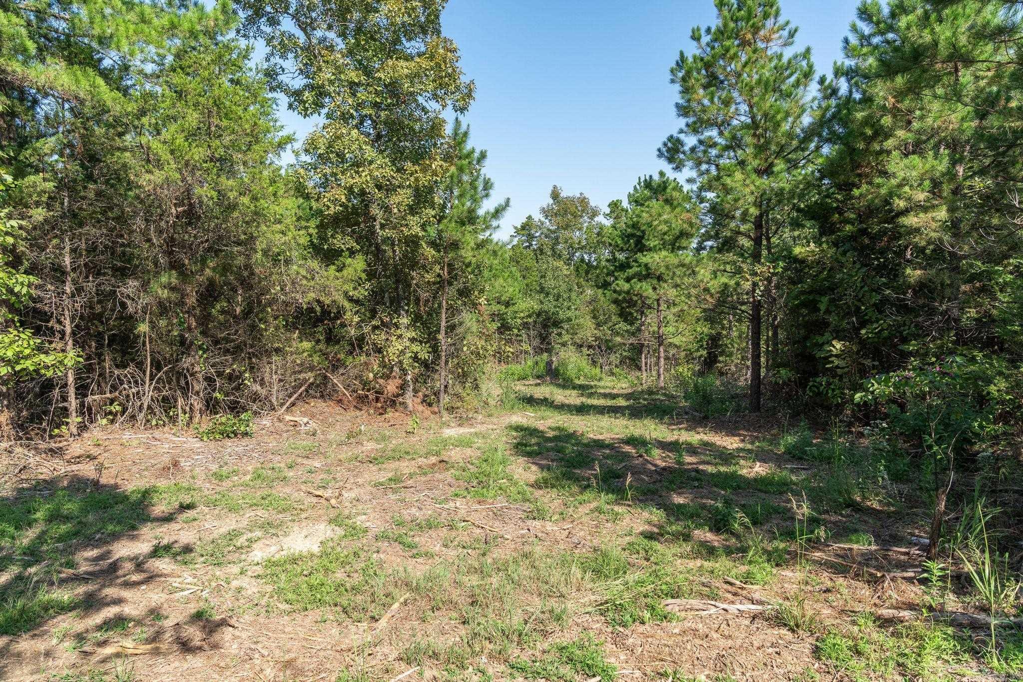 3024 Red Bench Rd Property Photo 37