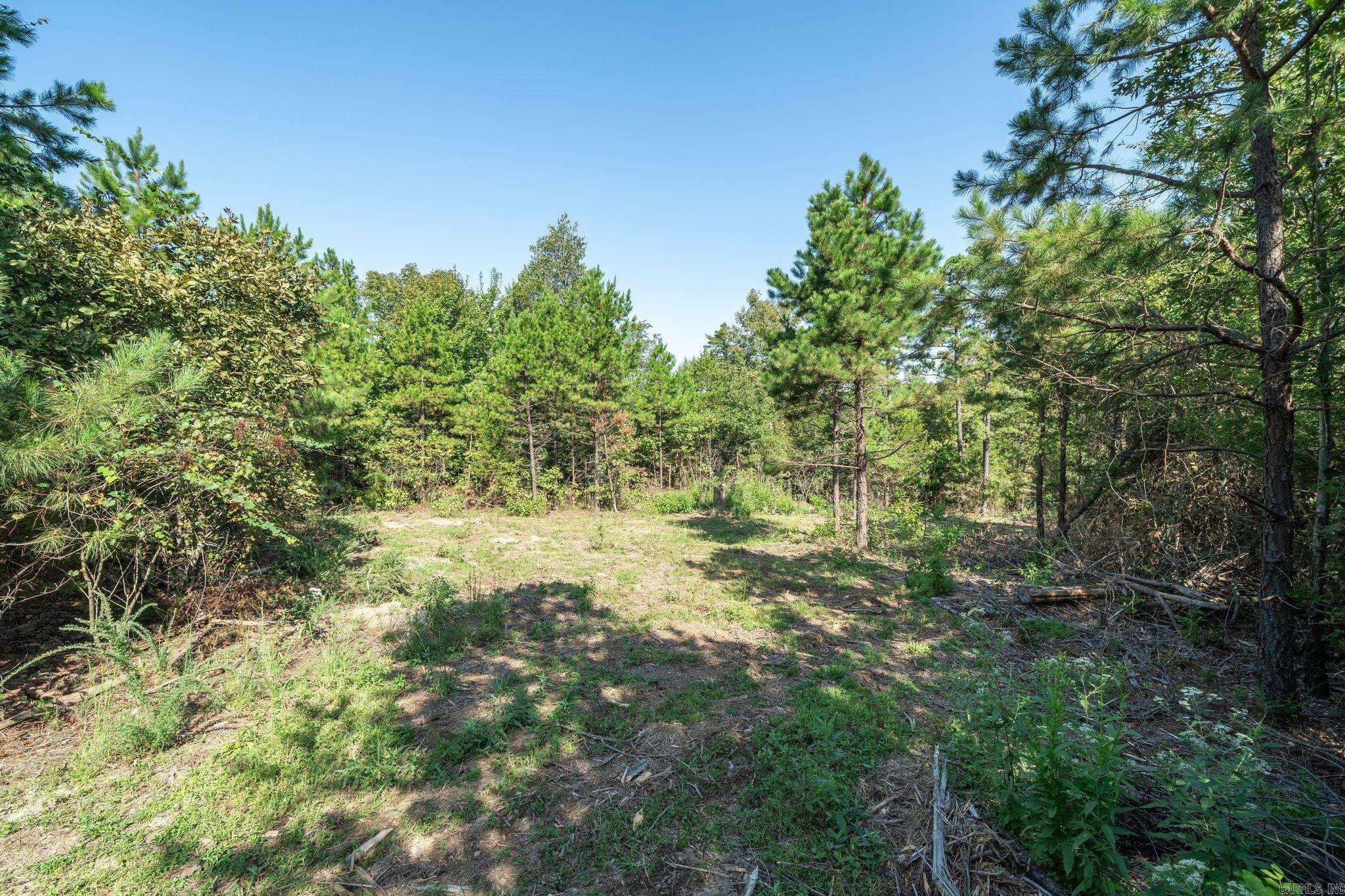 3024 Red Bench Rd Property Photo 38