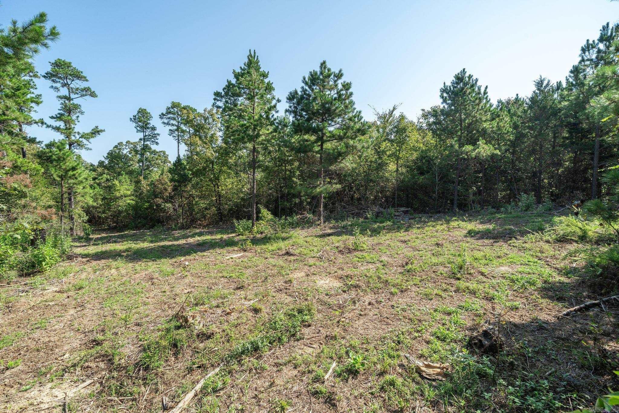 3024 Red Bench Rd Property Photo 39