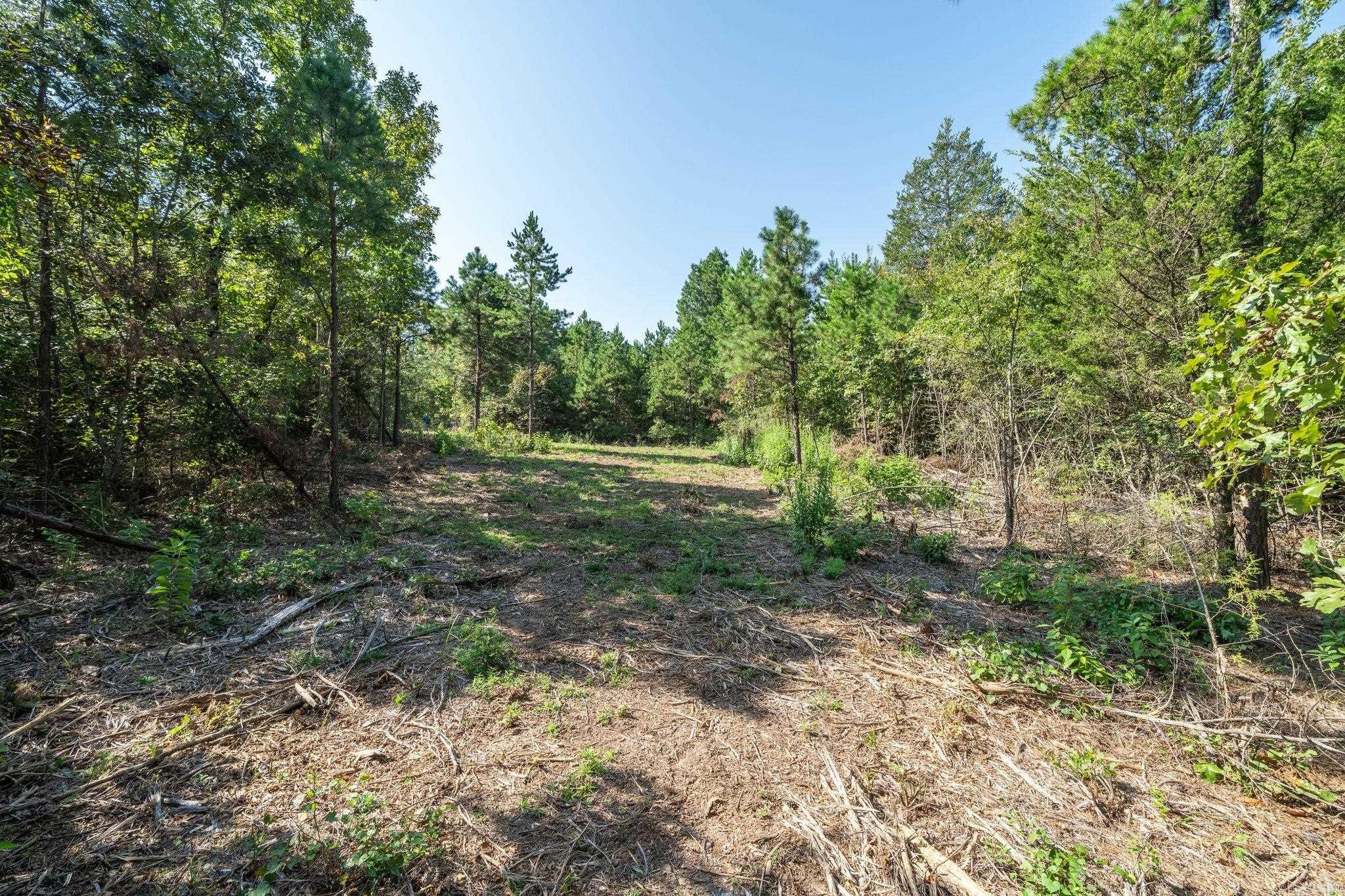 3024 Red Bench Rd Property Photo 40