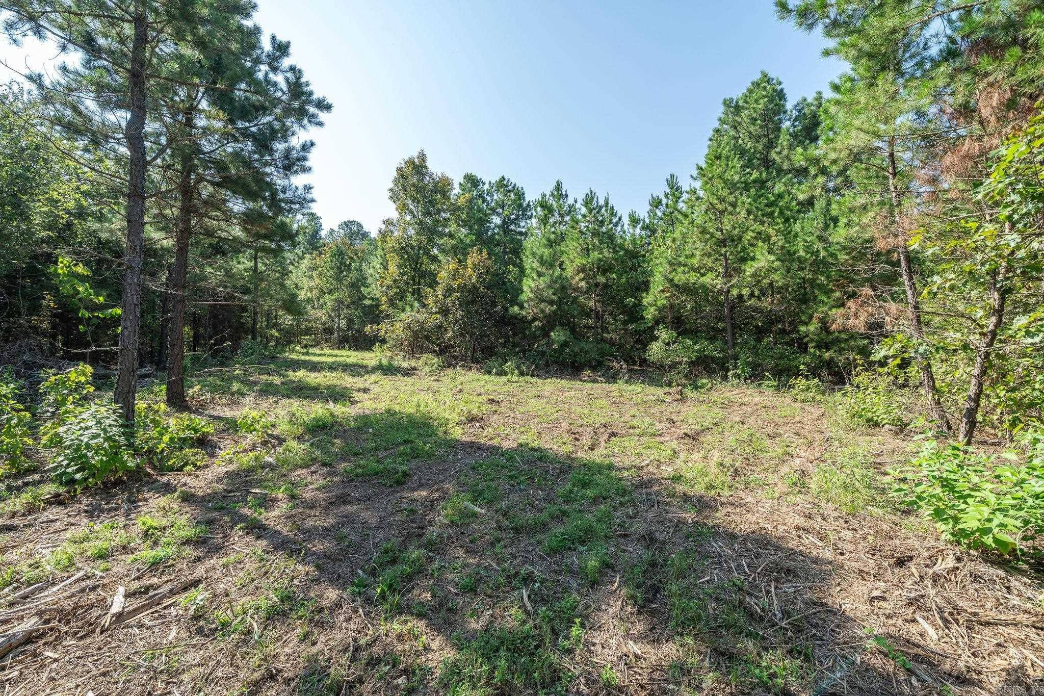 3024 Red Bench Rd Property Photo 41