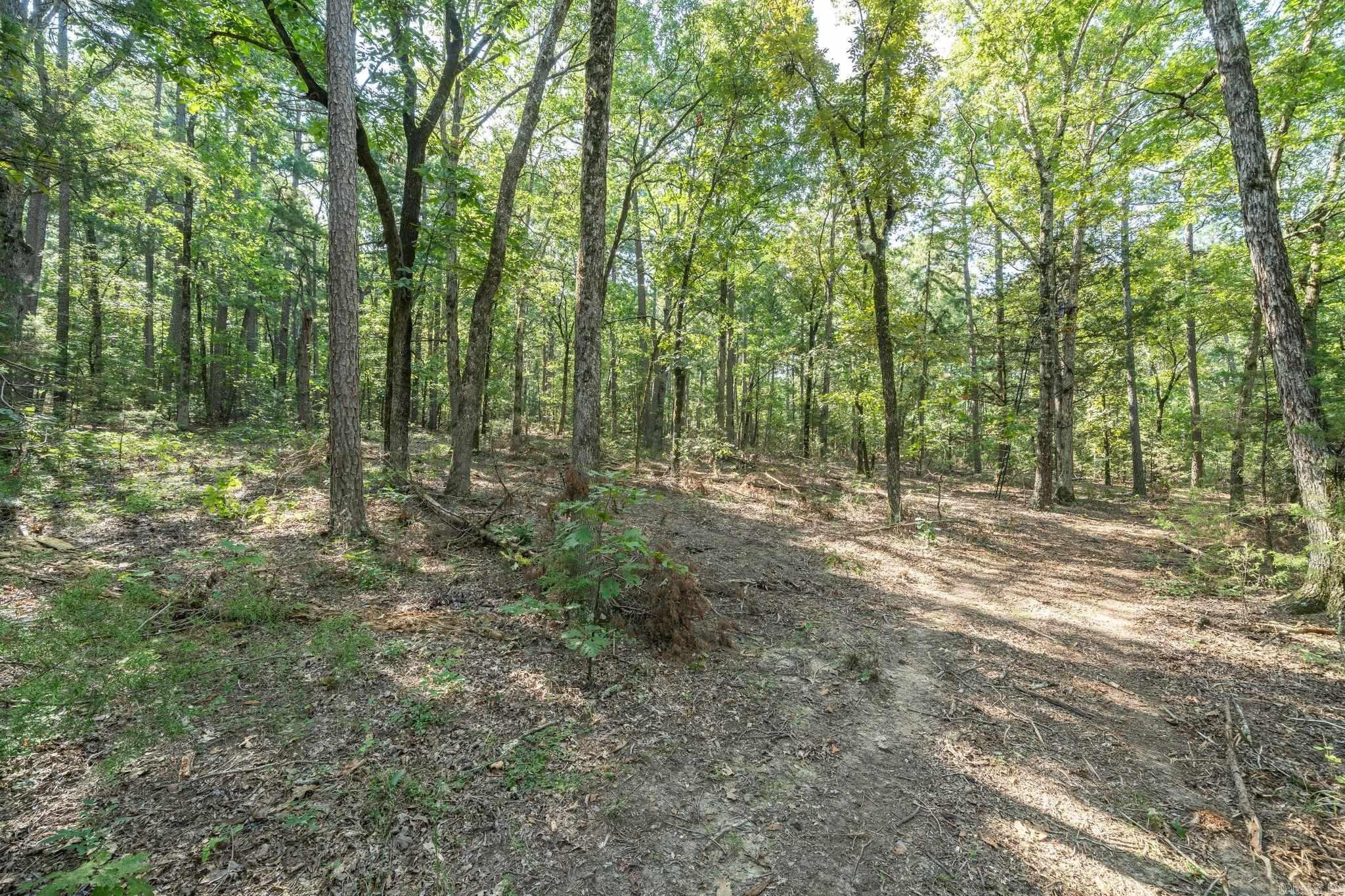 3024 Red Bench Rd Property Photo 43