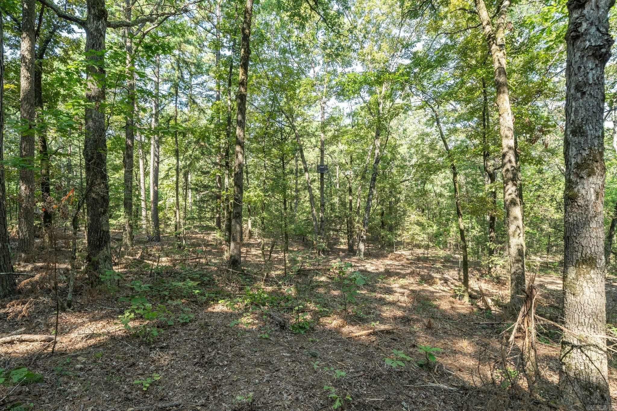 3024 Red Bench Rd Property Photo 44