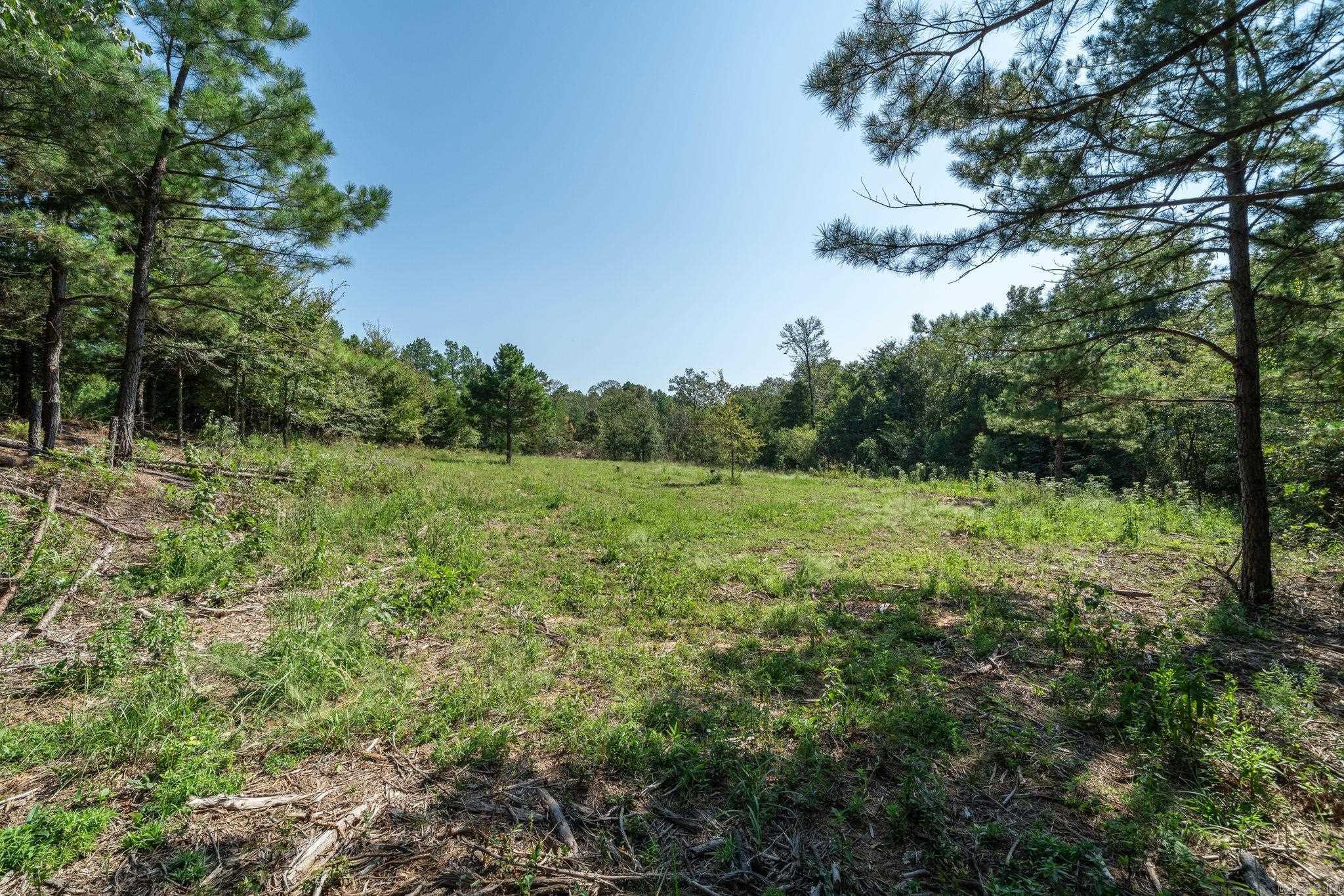 3024 Red Bench Rd Property Photo 46