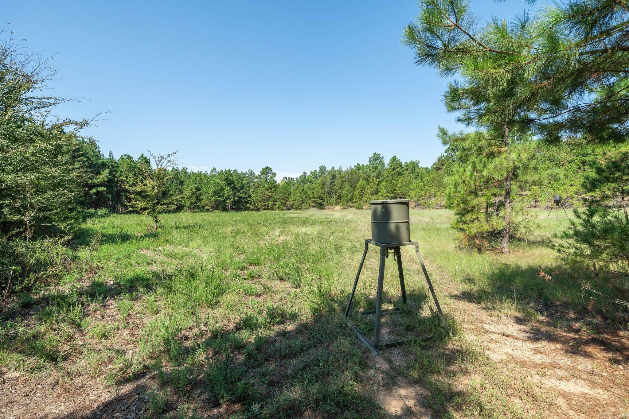 3024 Red Bench Rd Property Photo 47