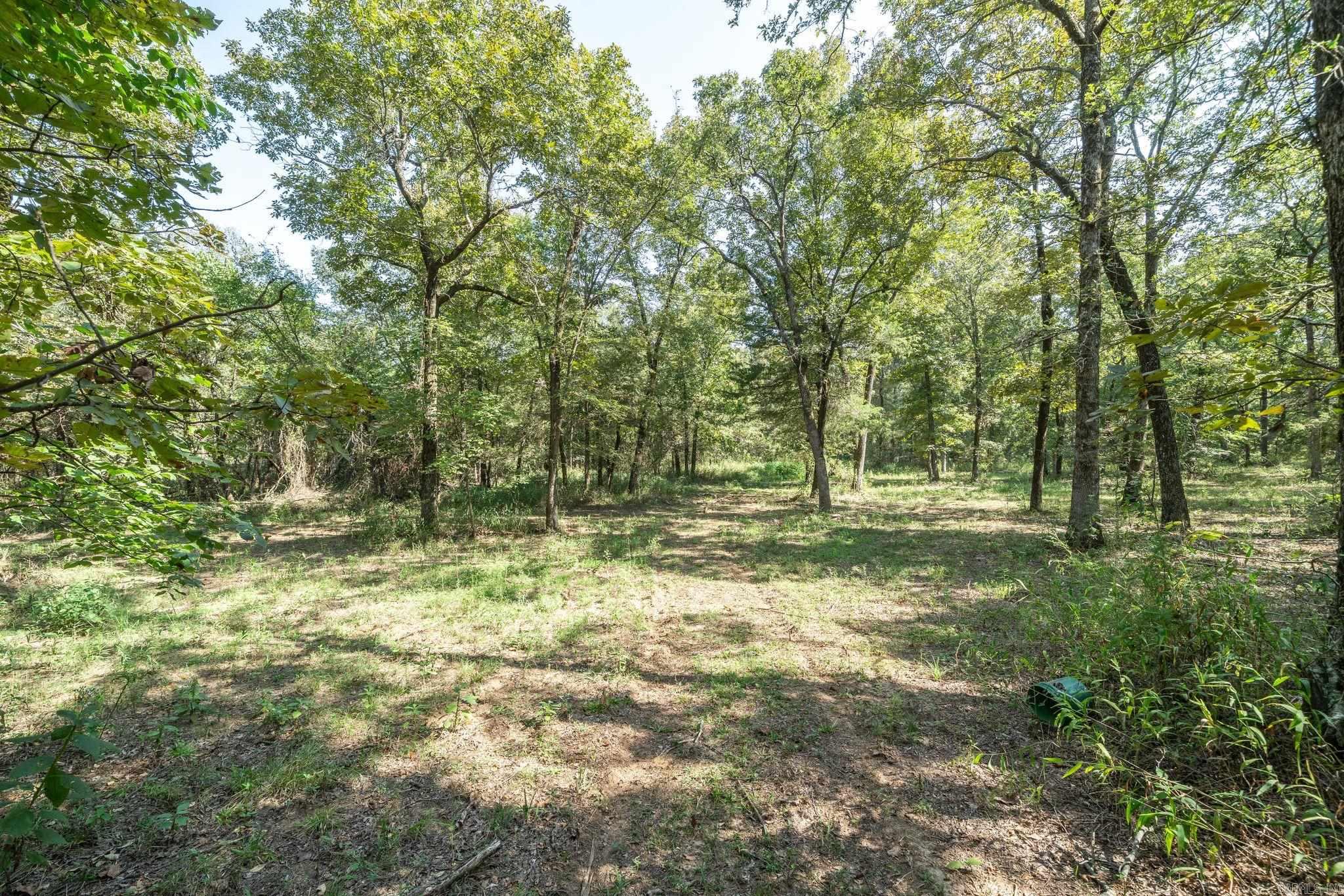 3024 Red Bench Rd Property Photo 49