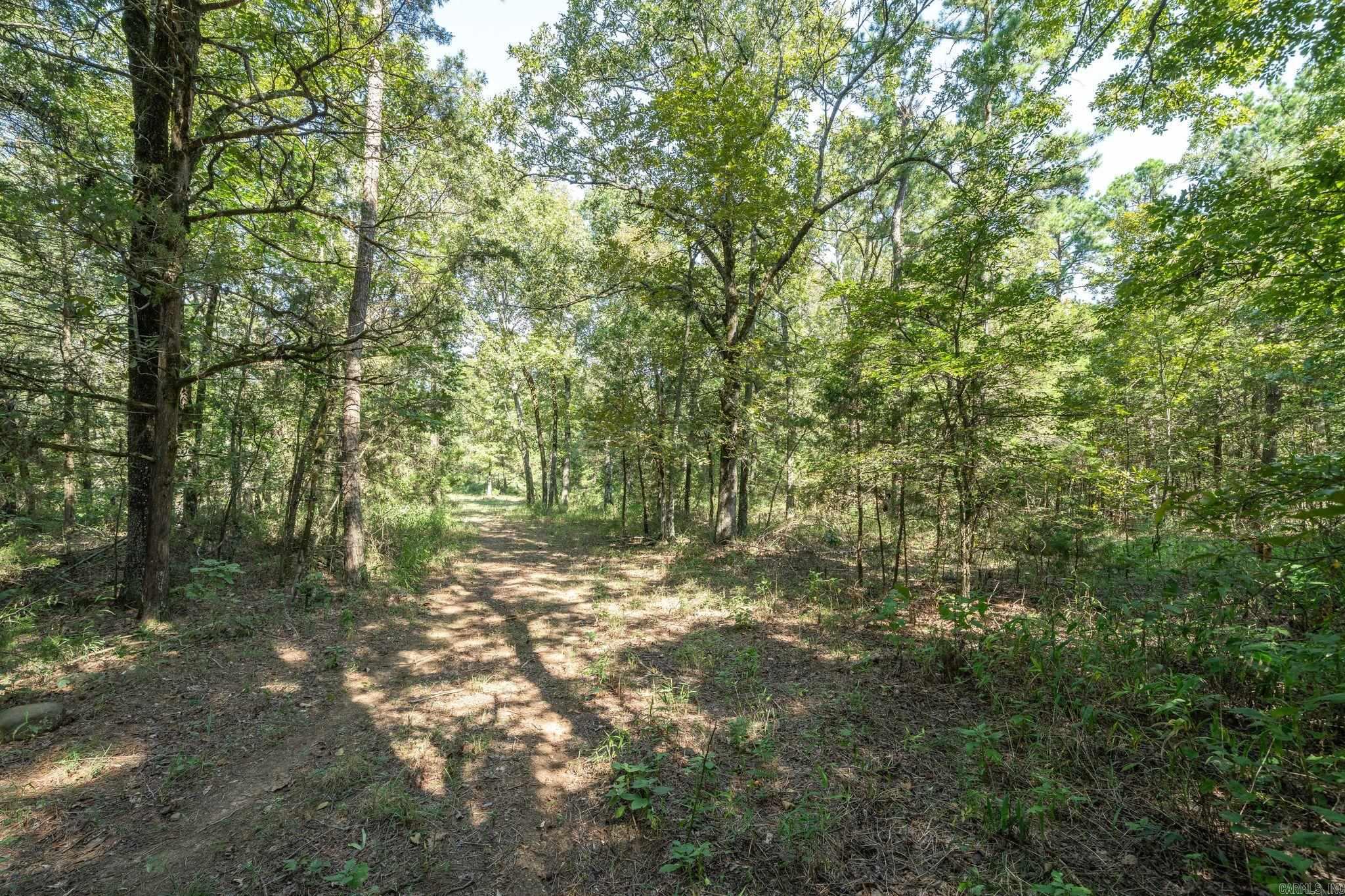 3024 Red Bench Rd Property Photo 50