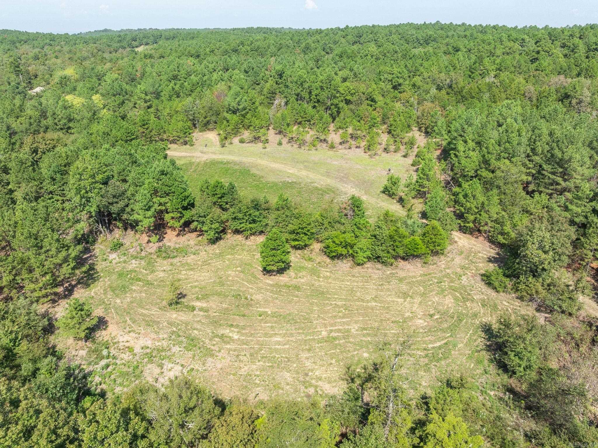 3024 Red Bench Rd Property Photo 9