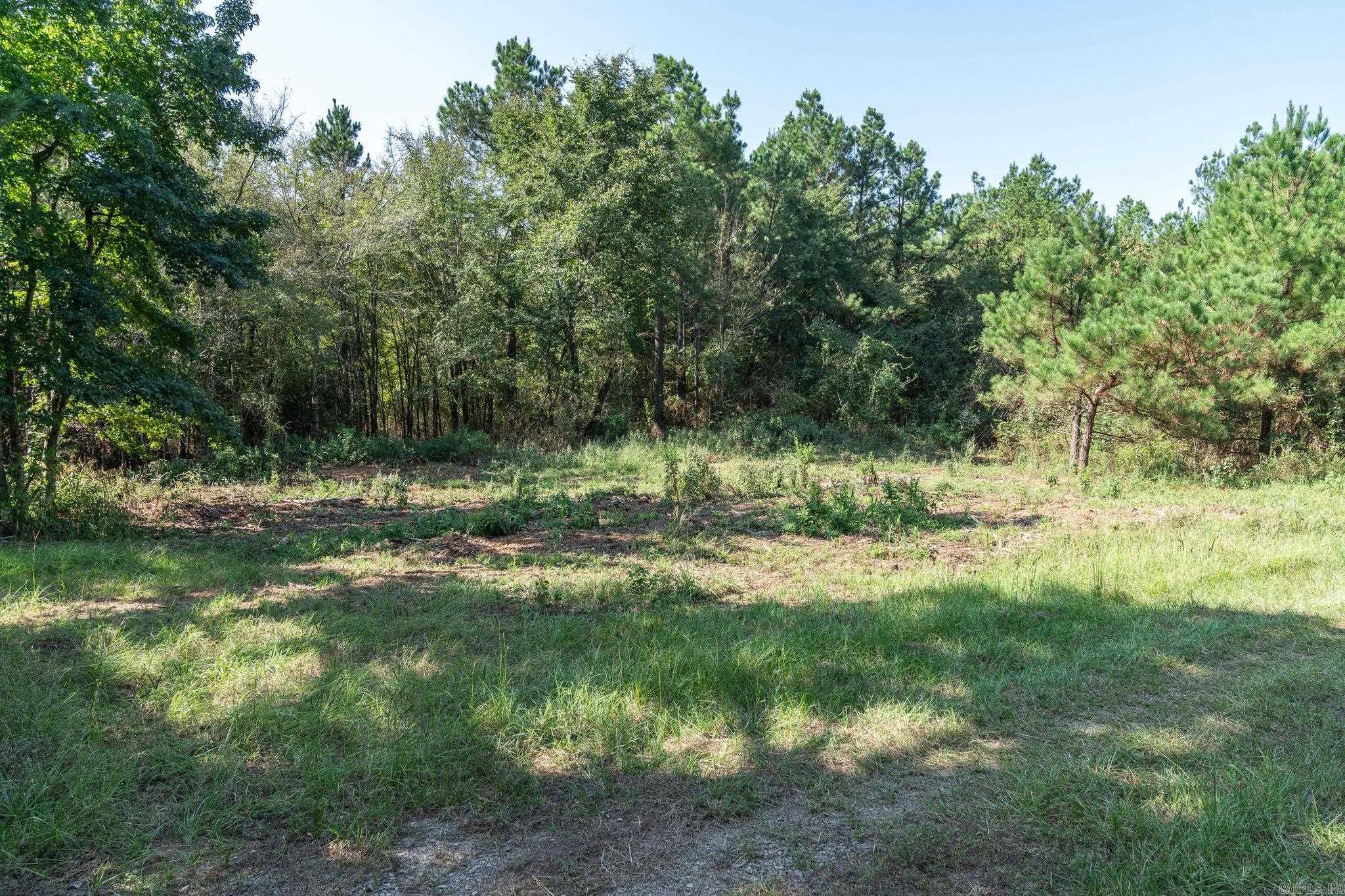 3024 Red Bench Rd Property Photo 13