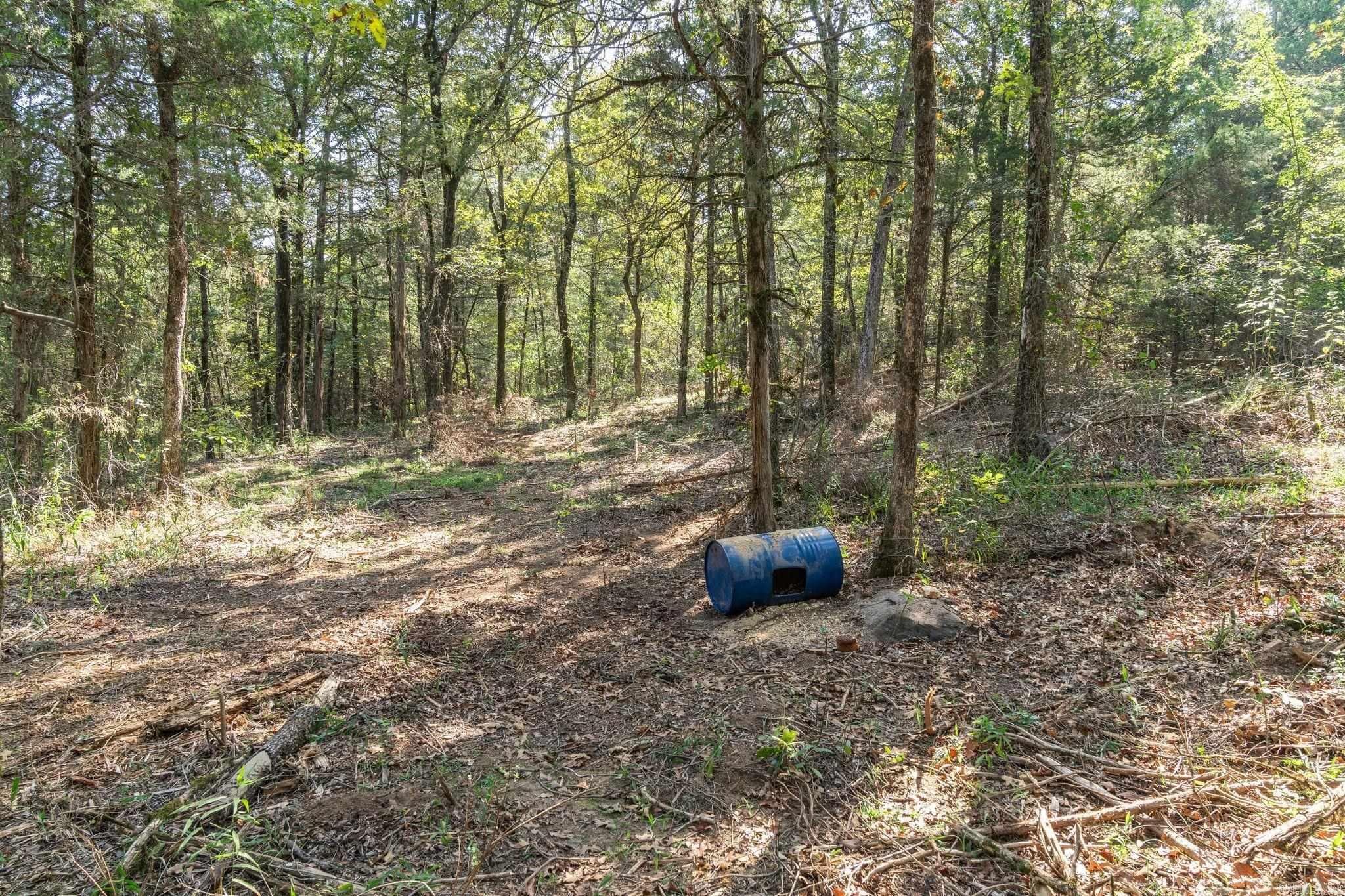 3024 Red Bench Rd Property Photo 17