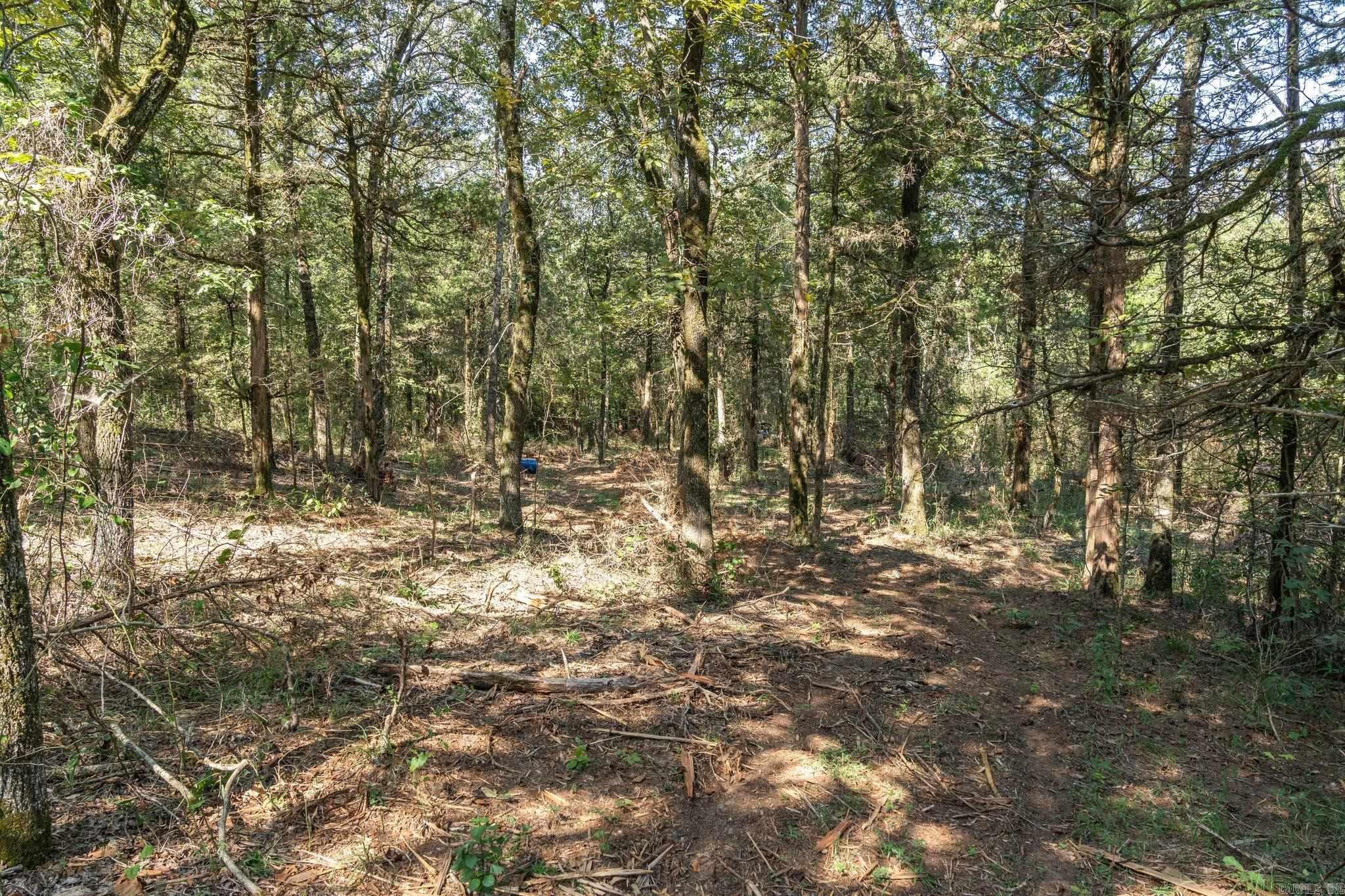 3024 Red Bench Rd Property Photo 19