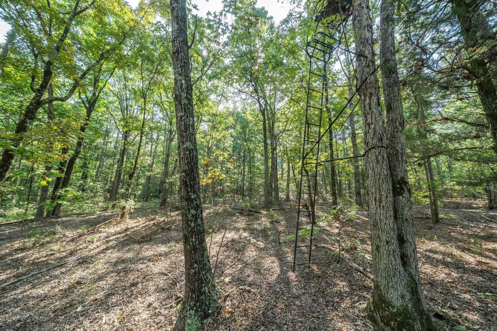 3024 Red Bench Rd Property Photo 26