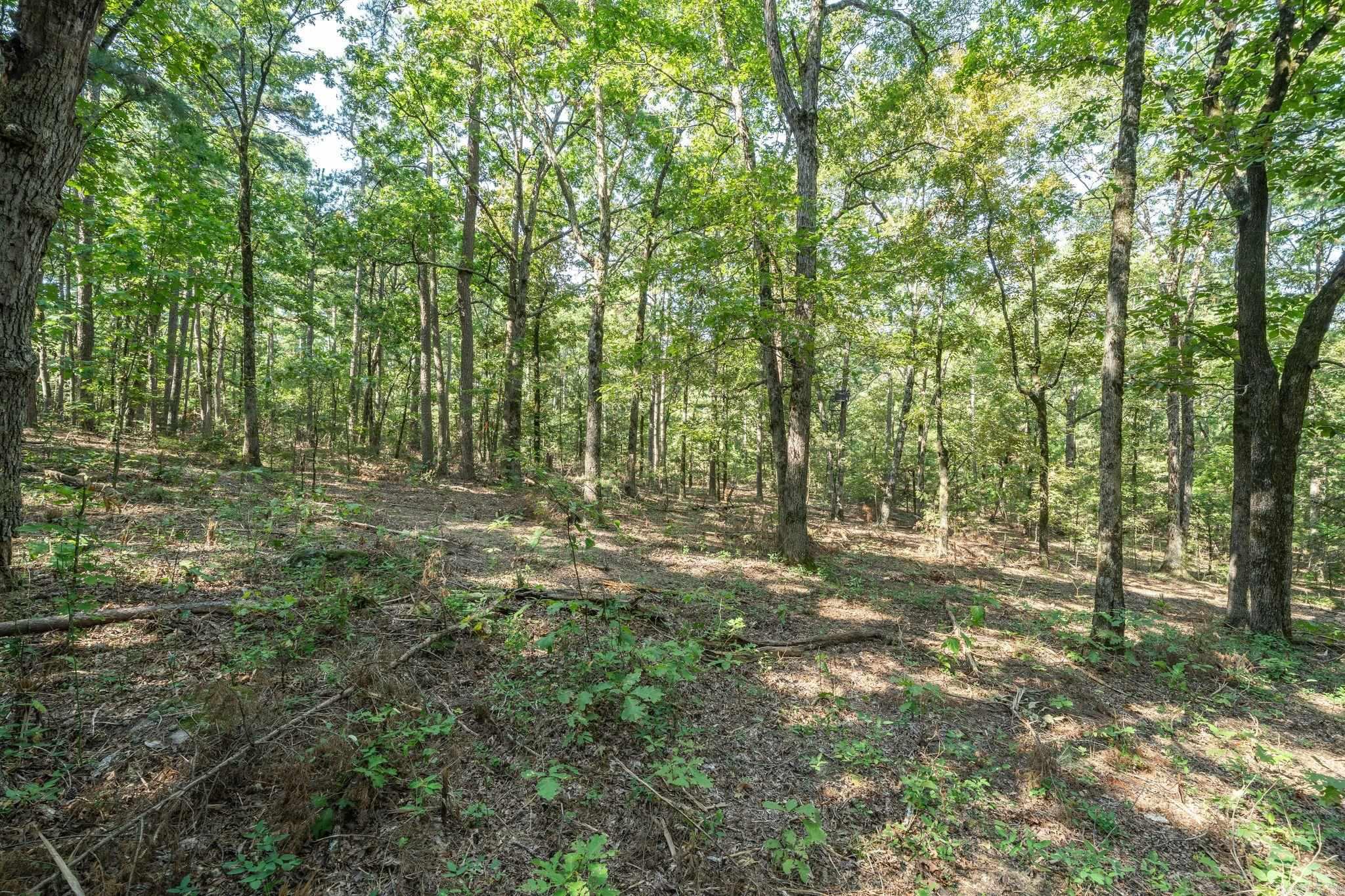 3024 Red Bench Rd Property Photo 28